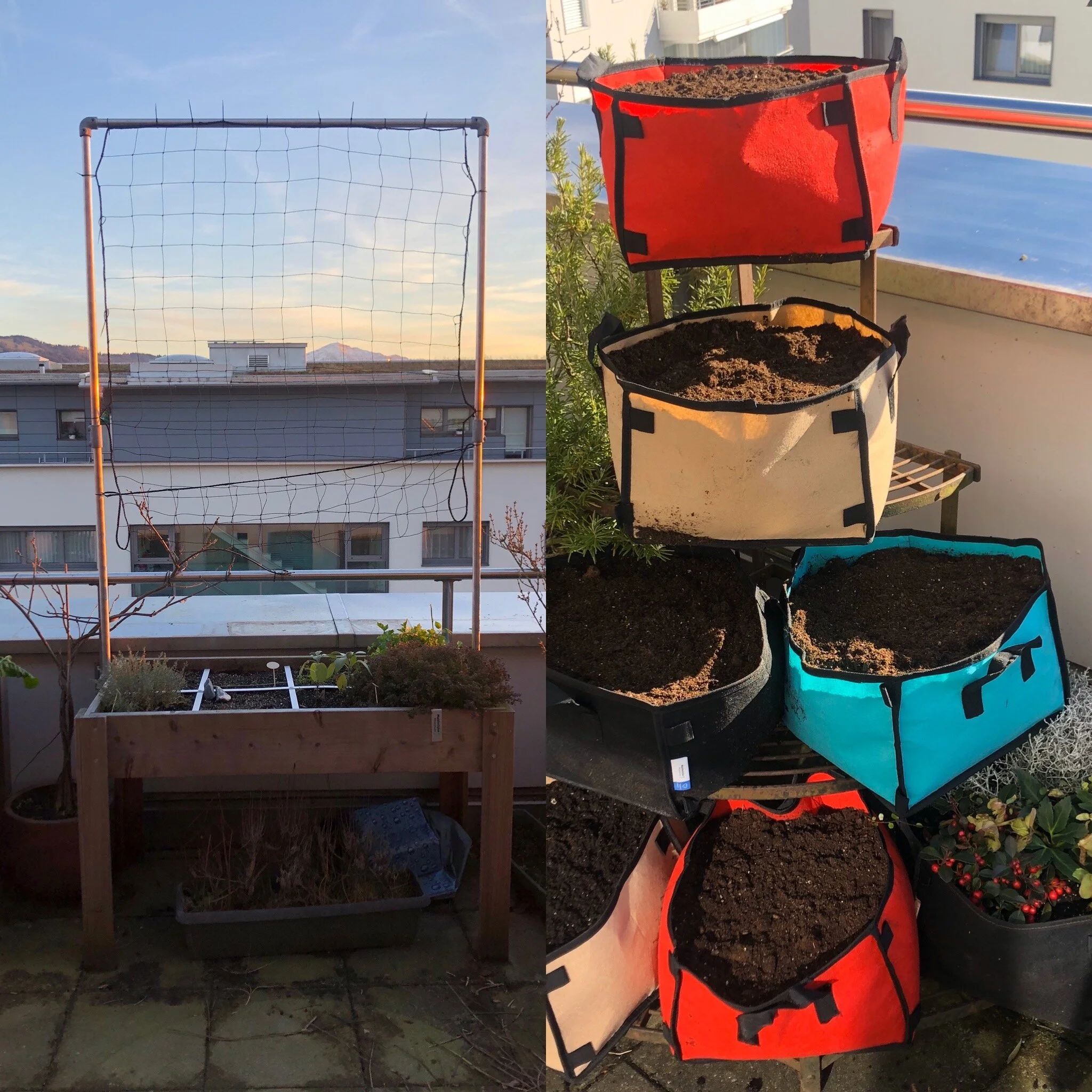Balcony garden setup with grow bags