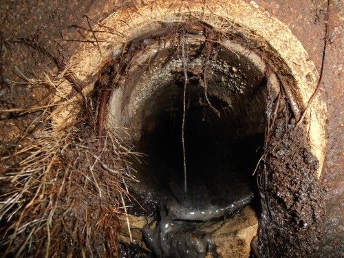 Drain Cleaning Columbus Ohio