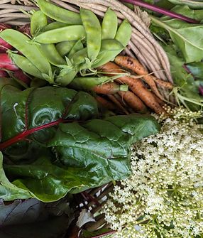 Fresh Vegetables