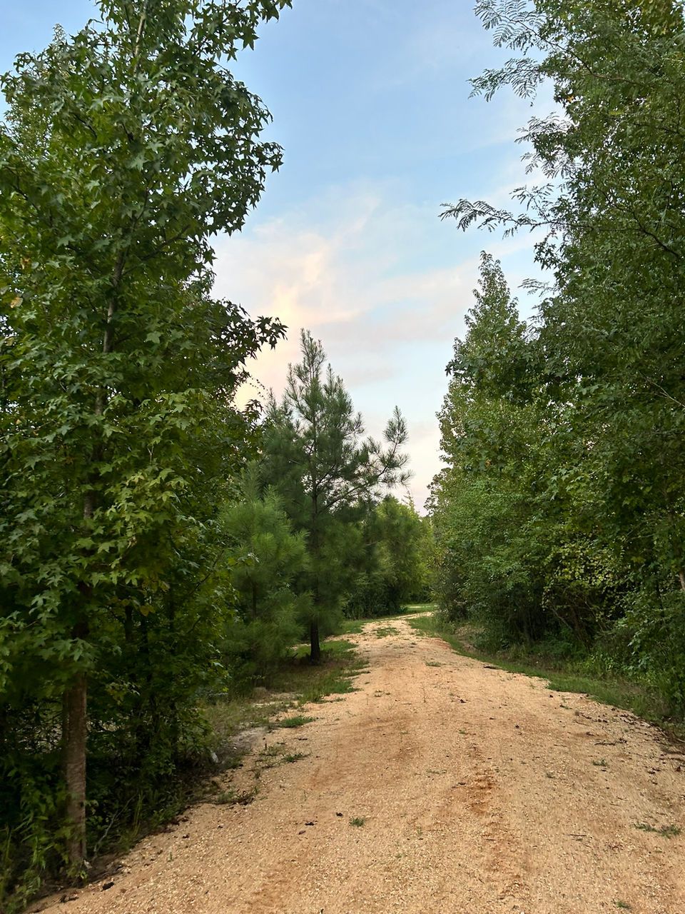 hiking trails