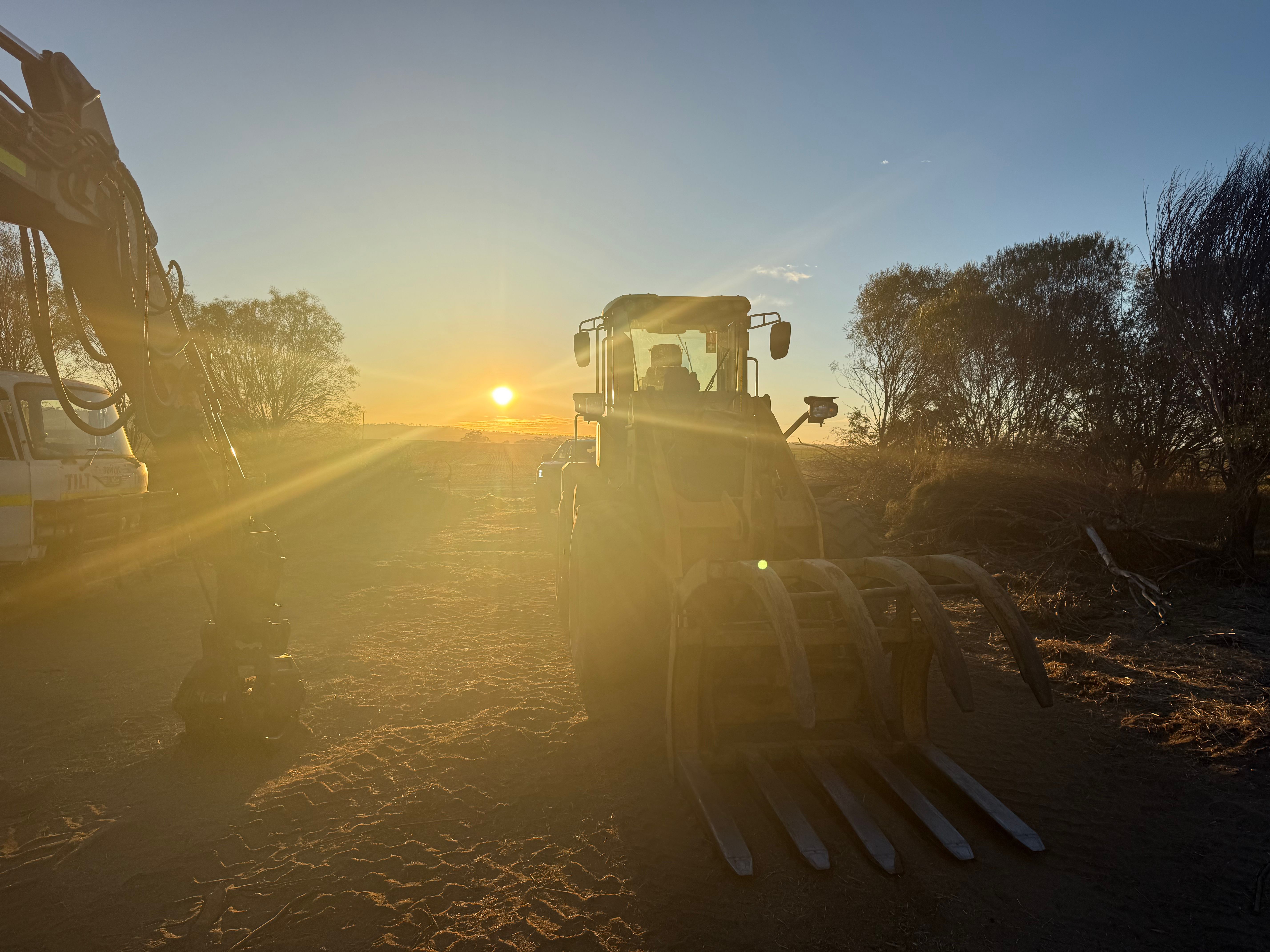 Wheatbelt at dusk