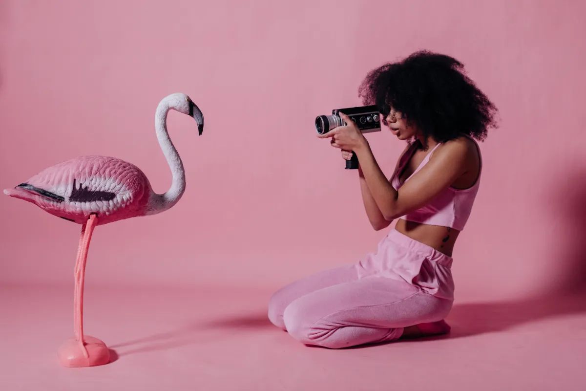 Creative photography with pink flamingo prop