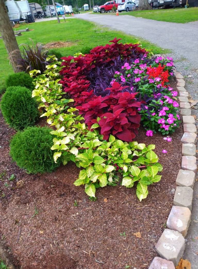 Colorful flower bed with shrubs at Welcome Woods campground