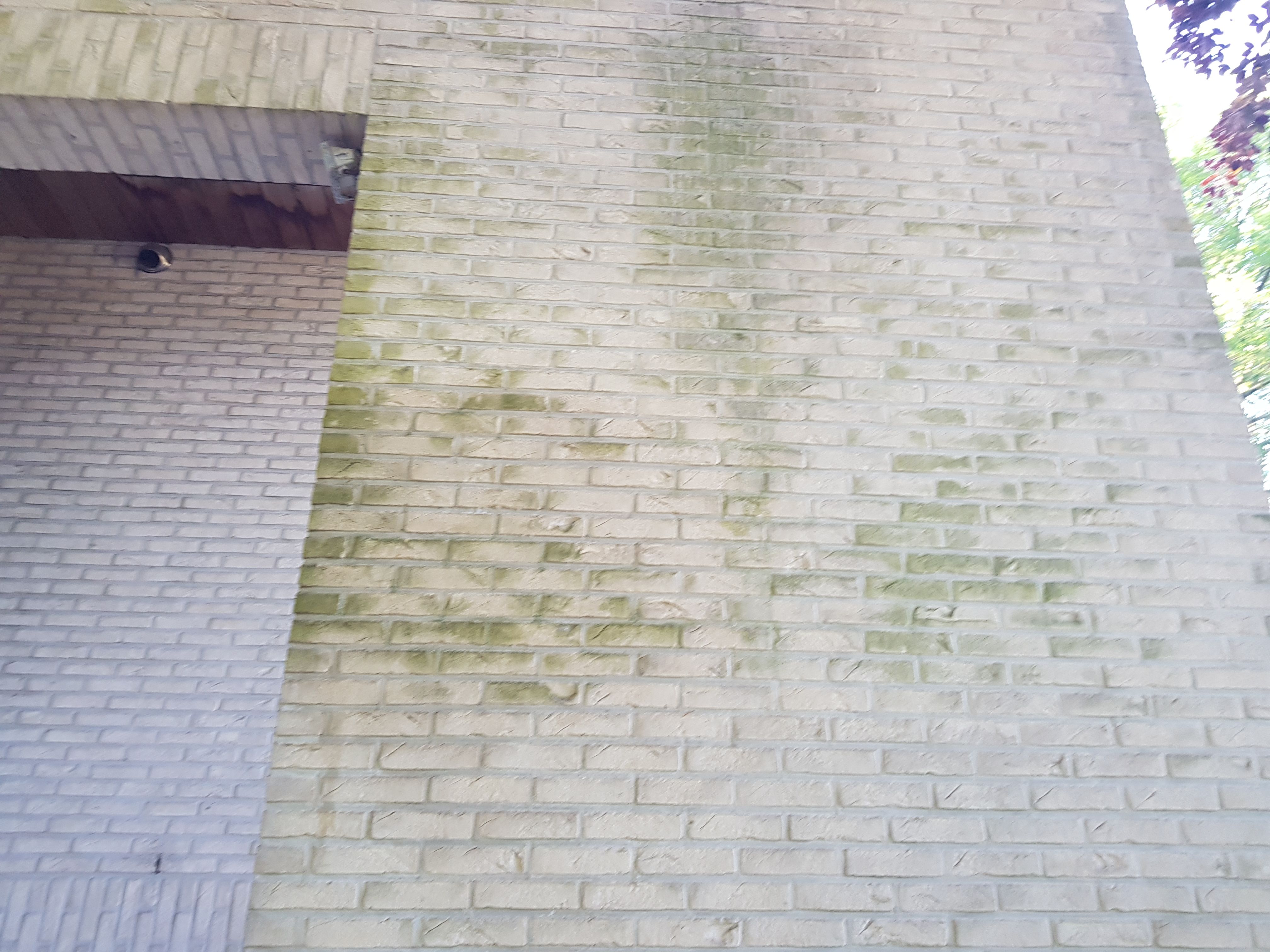 Gevel voor reiniging - groene aanslag en algen