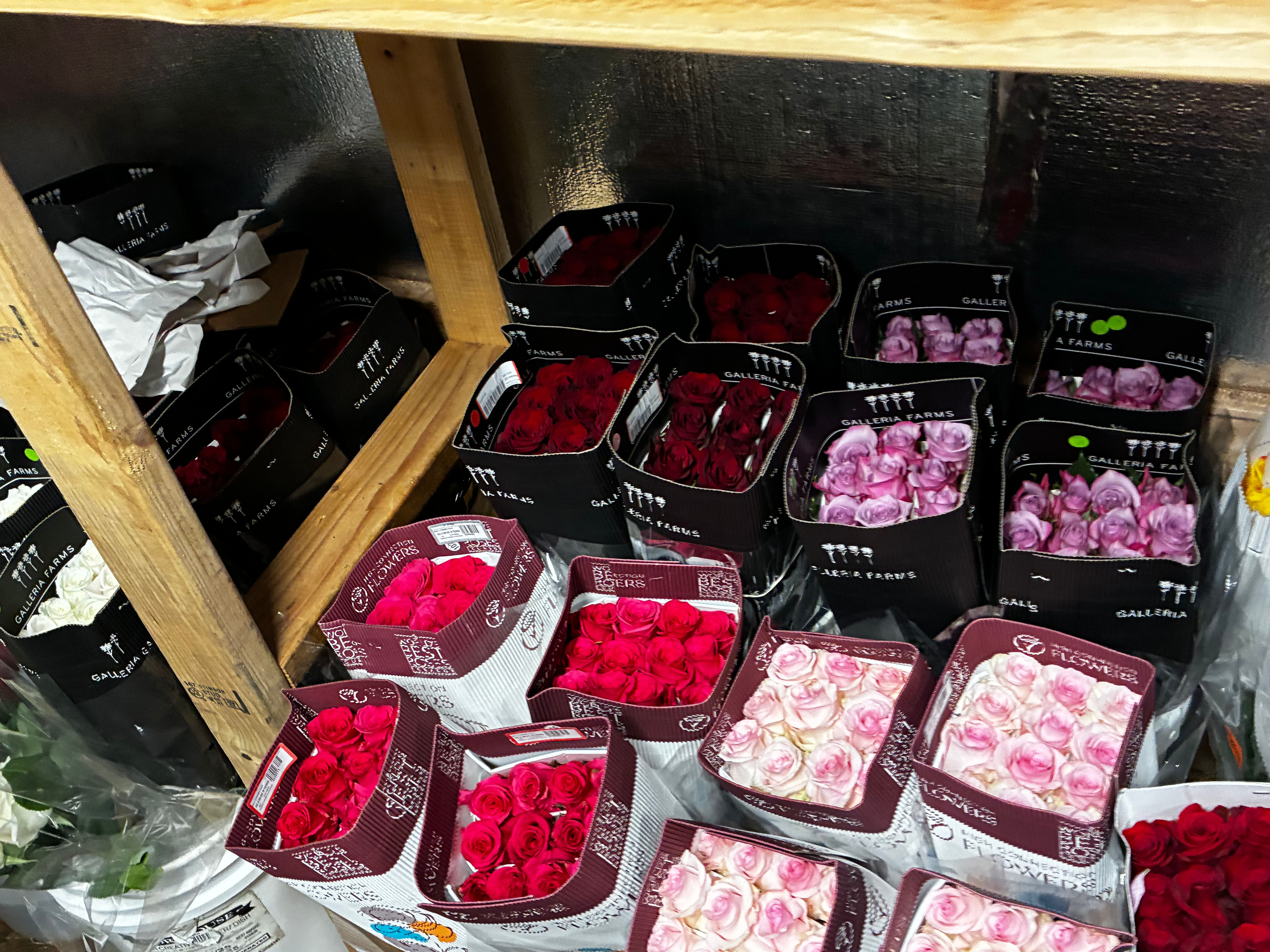 Fresh roses in branded sleeves on cooler shelves โ red, pink, white