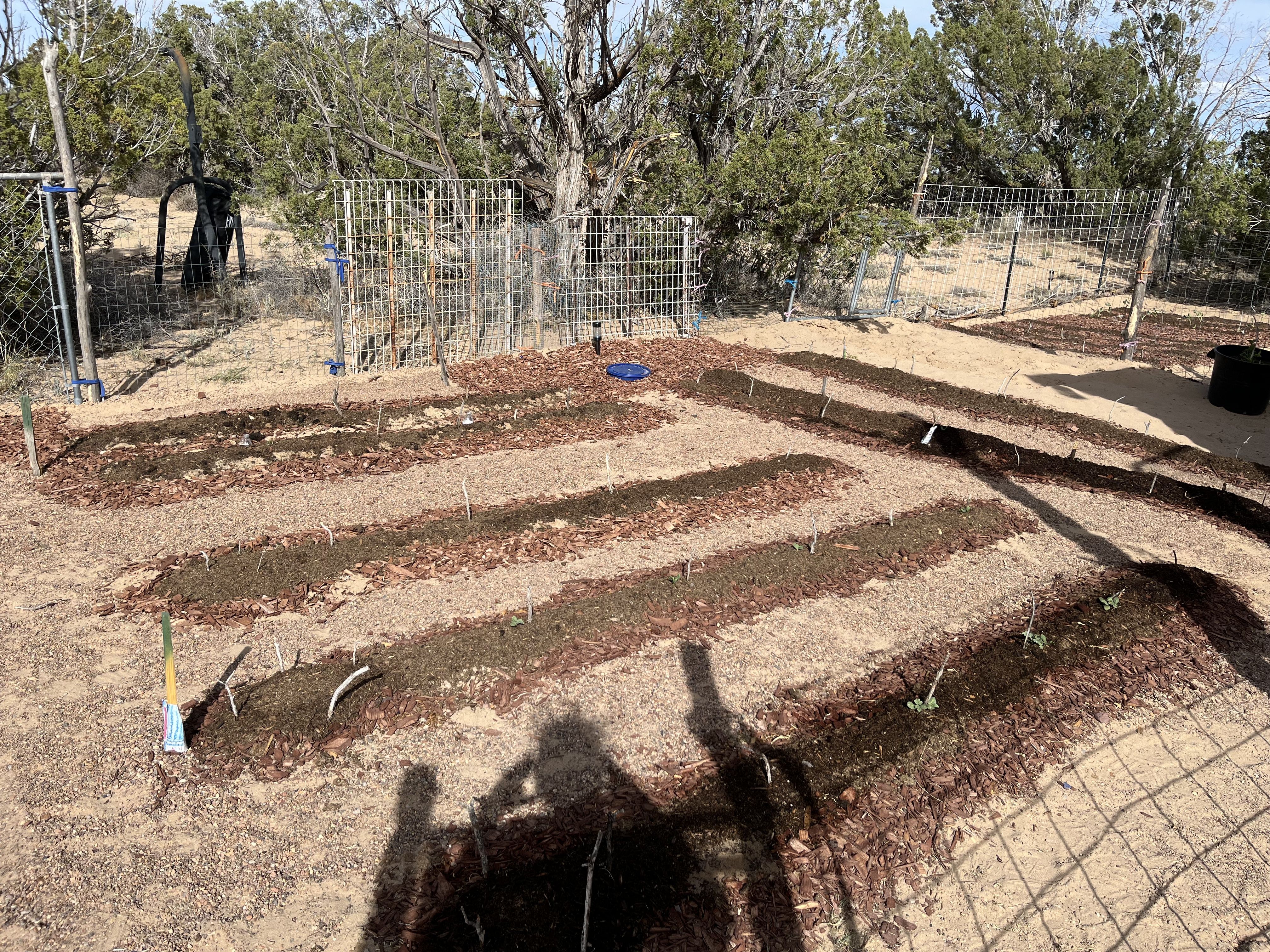 Farm layout and garden beds