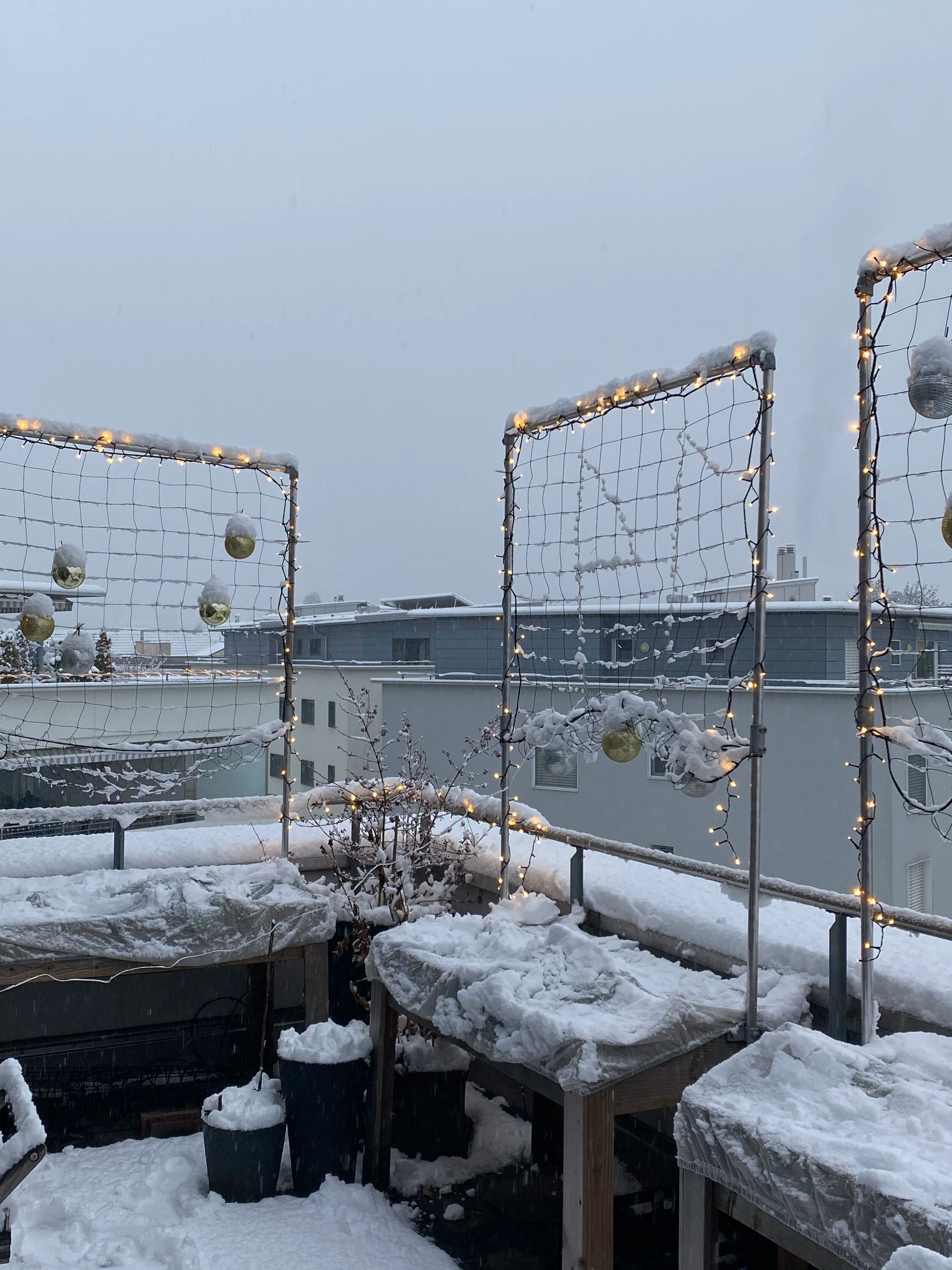 Winter garden covered in snow