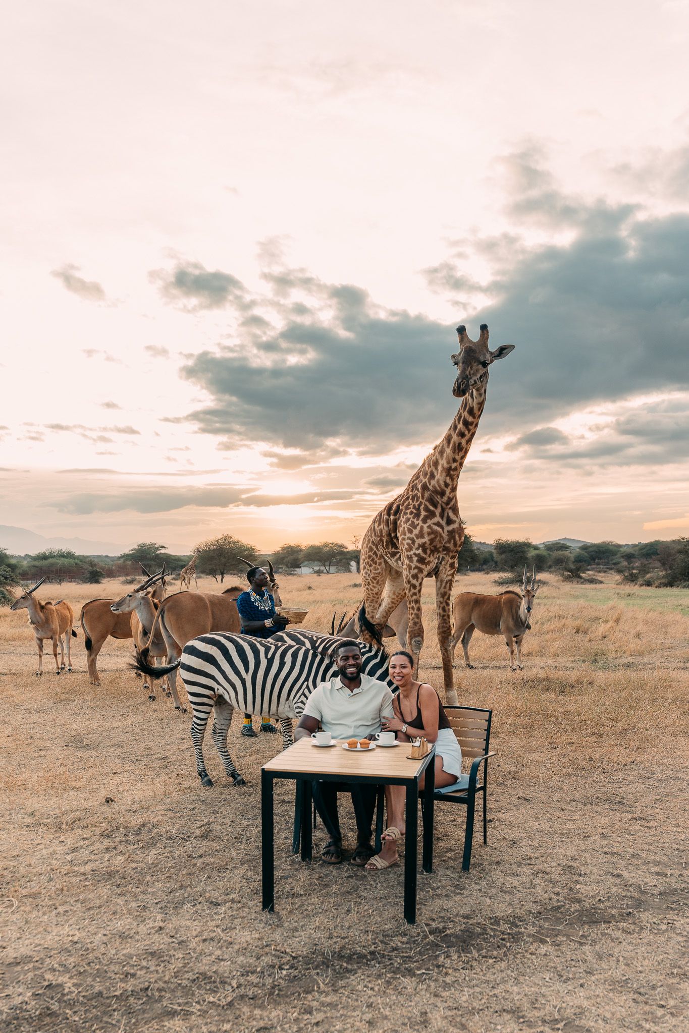 Couple having coffee and pastries at outdoor table at Serval Wildlife Park with zebra and giraffe nearby