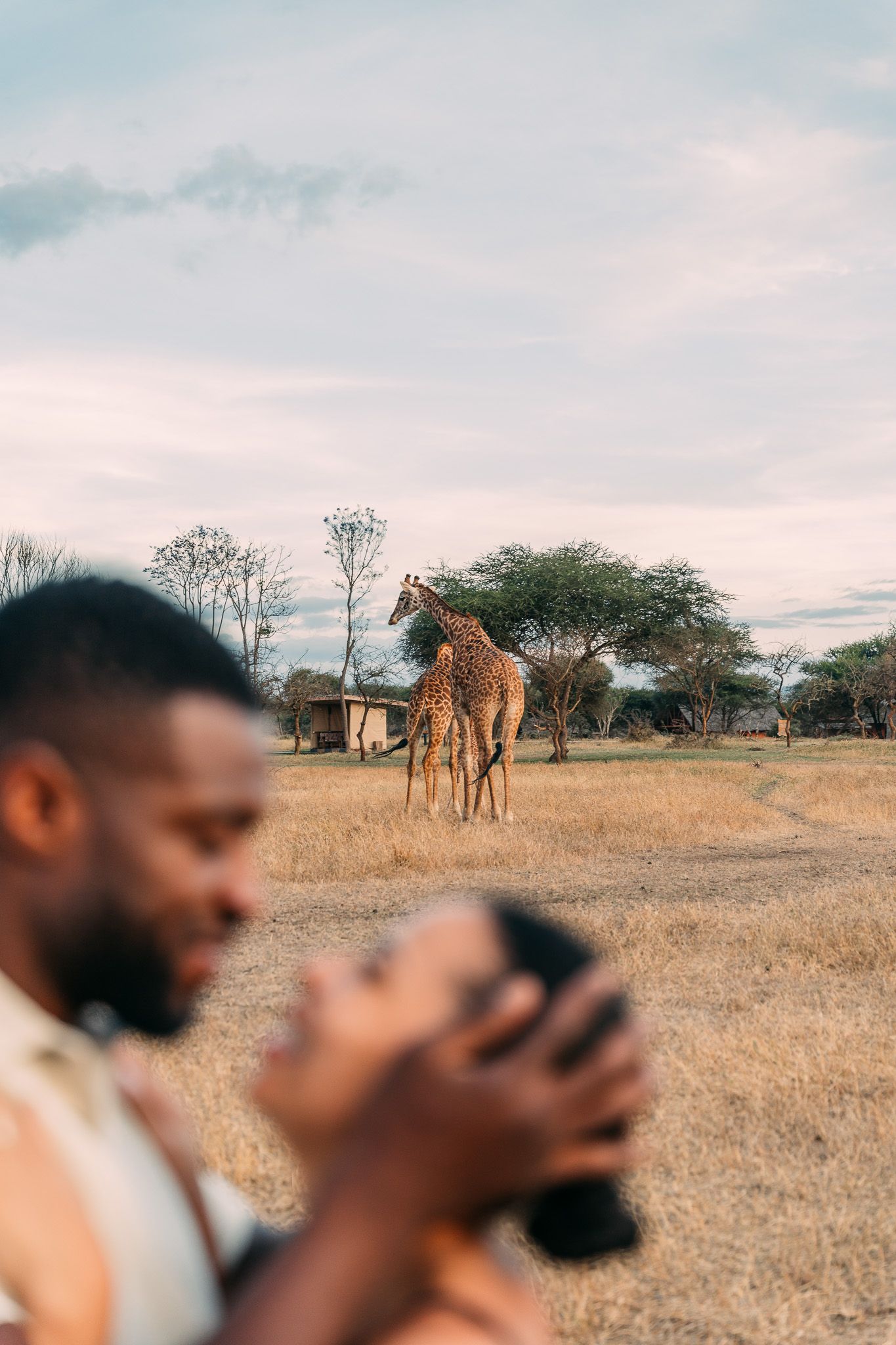 Intimate couple moment with giraffes in the background at Serval Wildlife Park