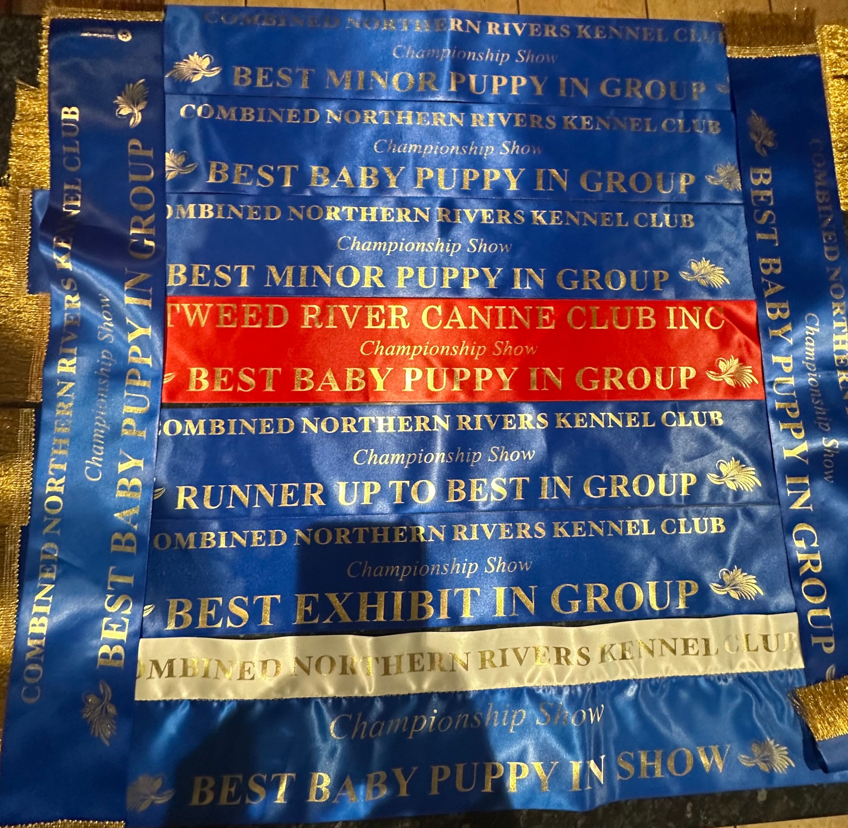 Championship show ribbons collection