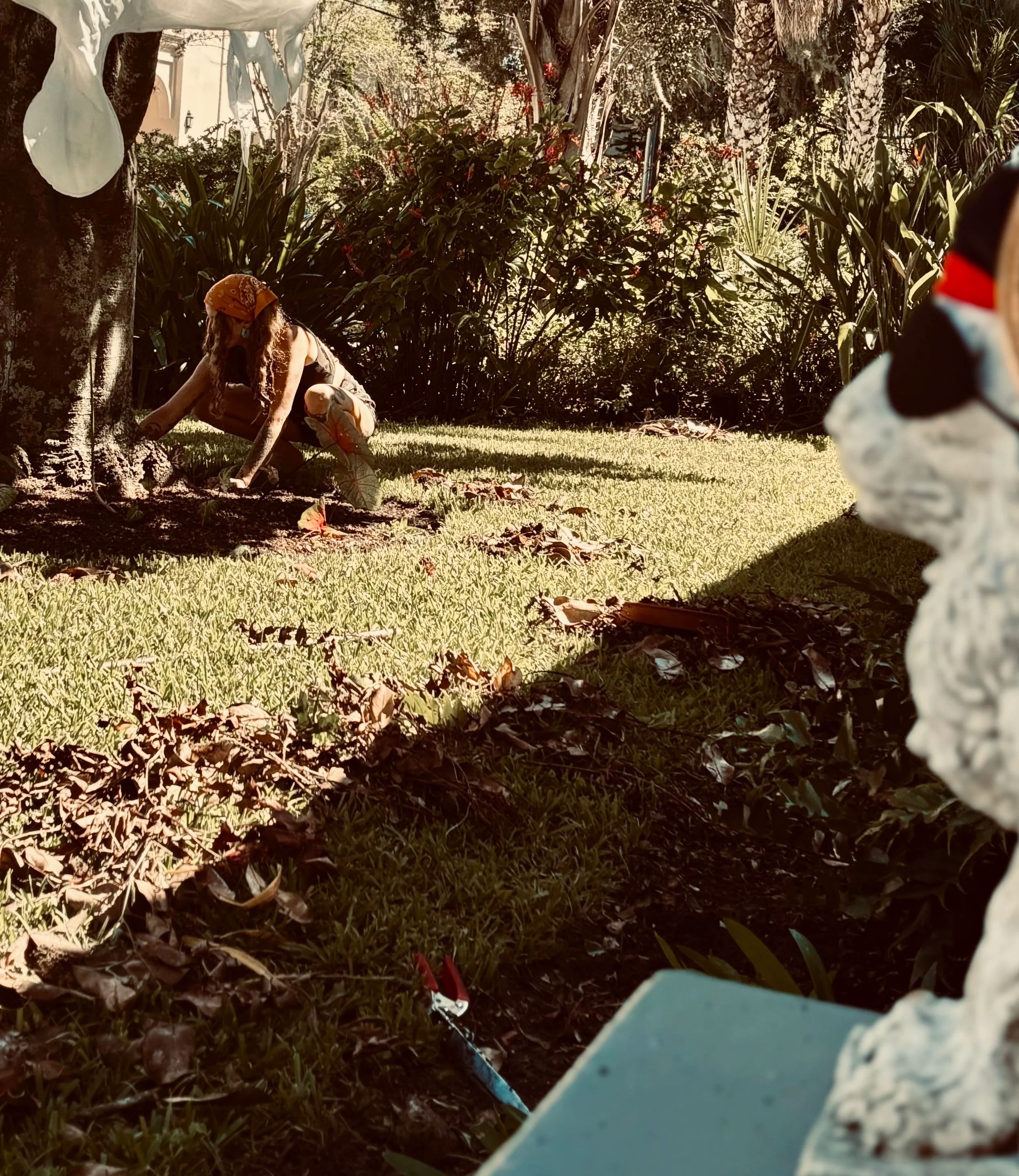Jocelyn weeding in a residential garden