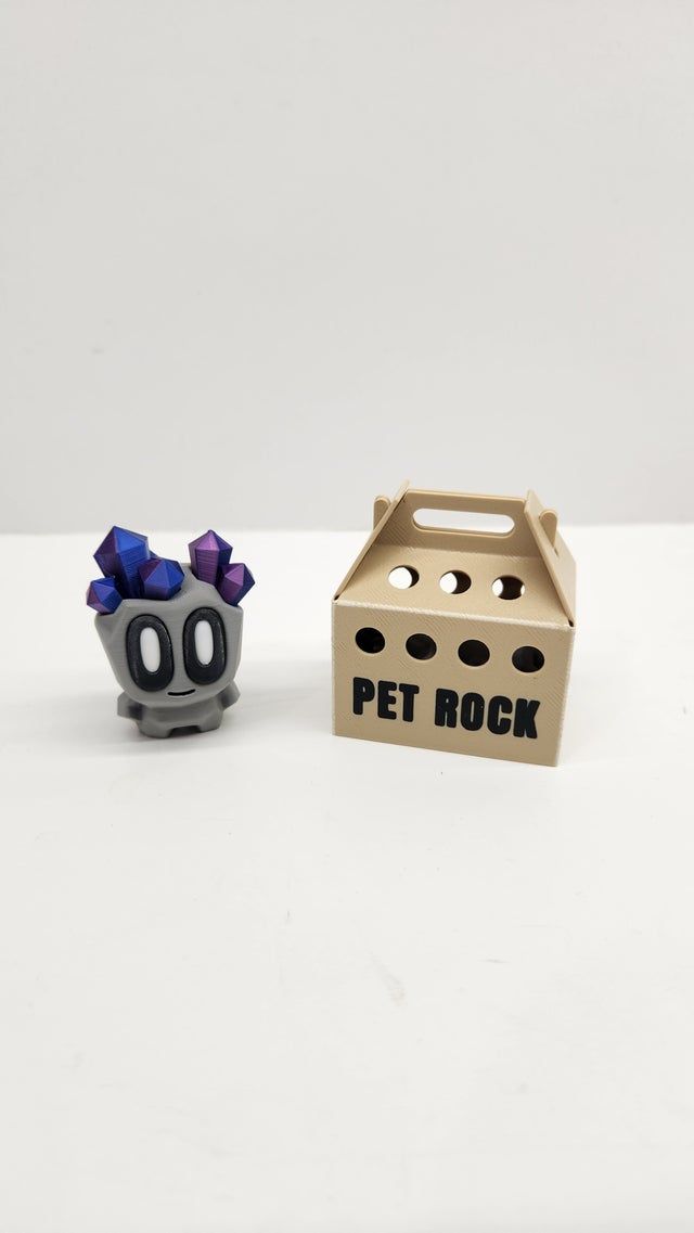 Pet Rock Set
