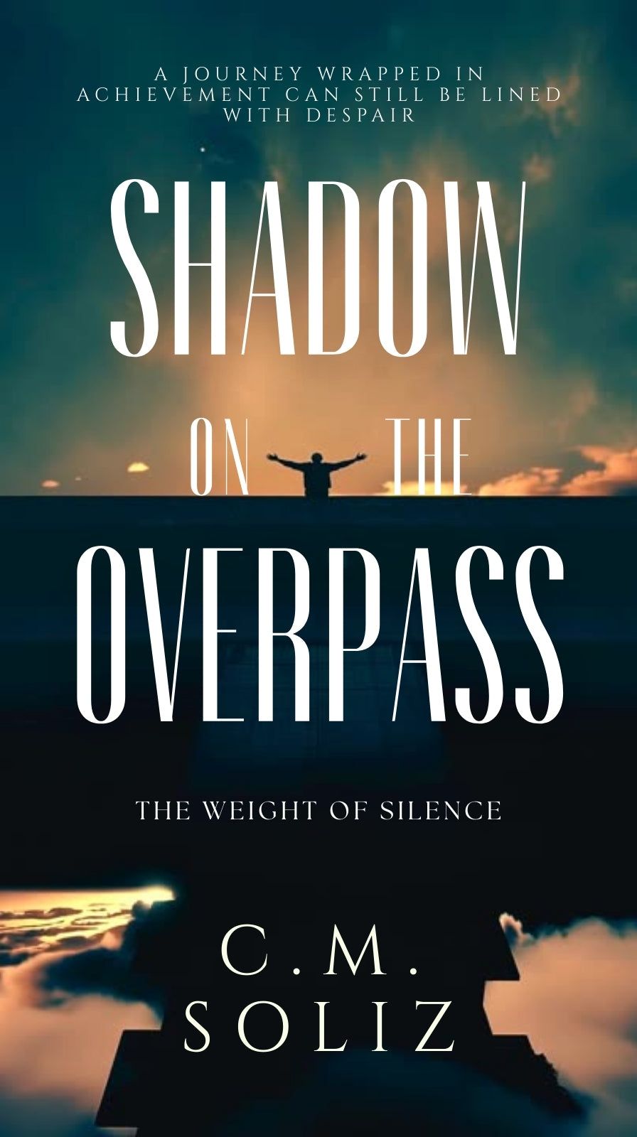 Shadow on the Overpass cover, blurred background