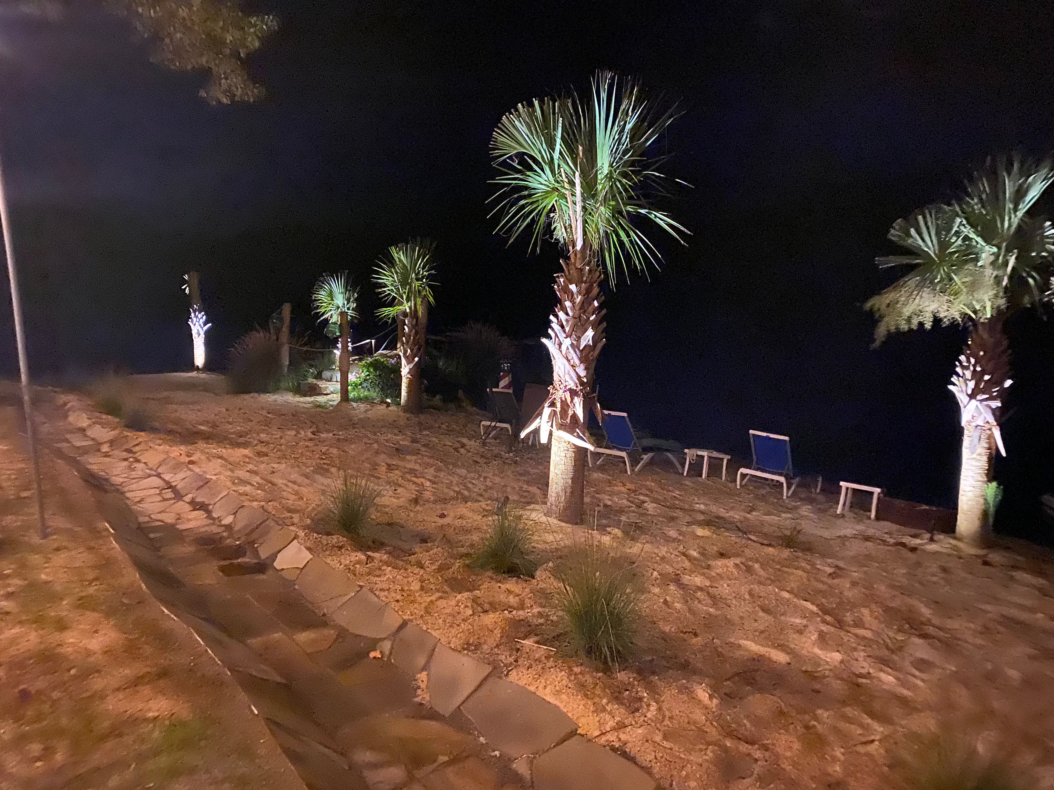 Irrigation & Lighting