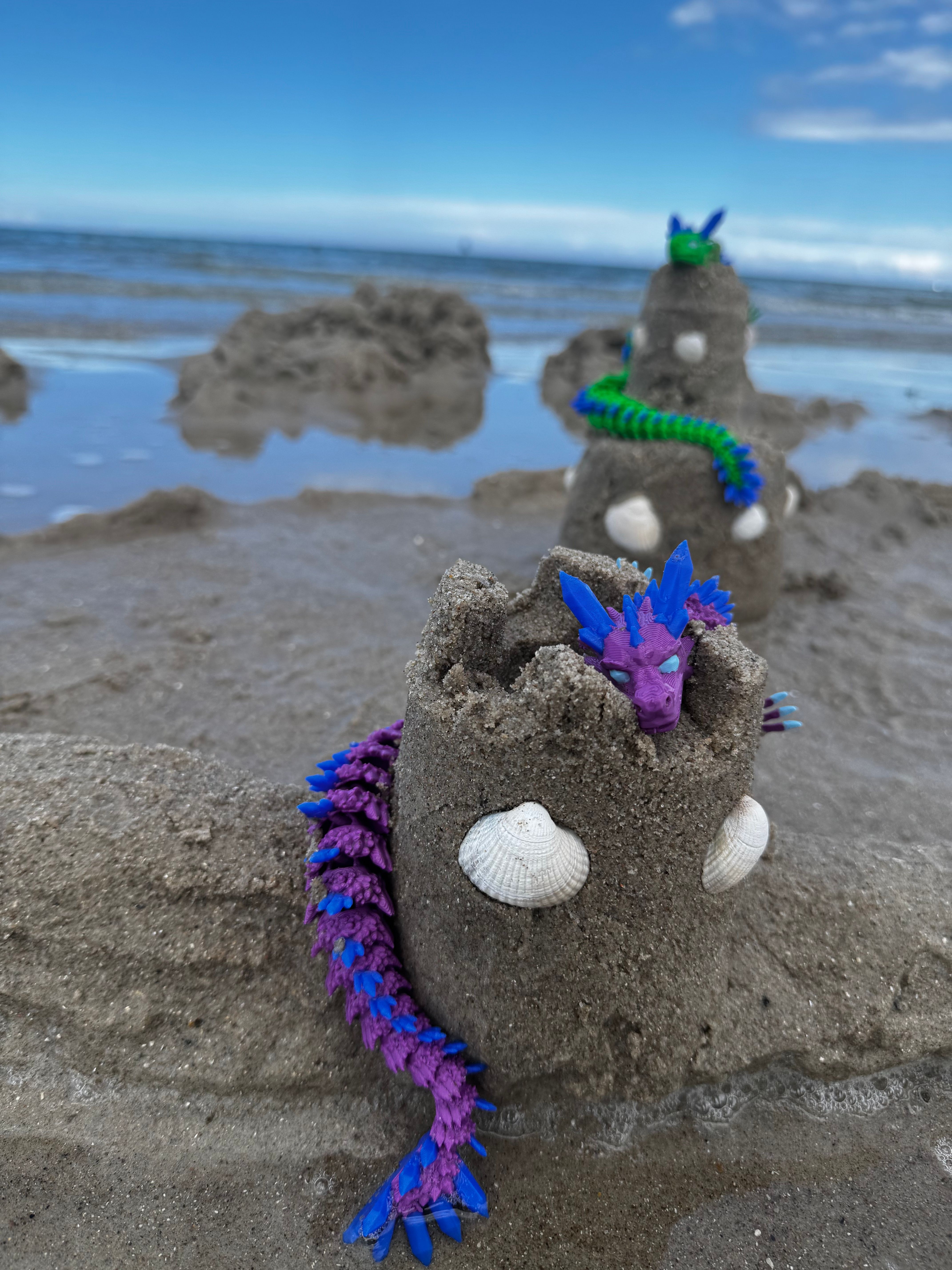 Flexi dragons at the beach