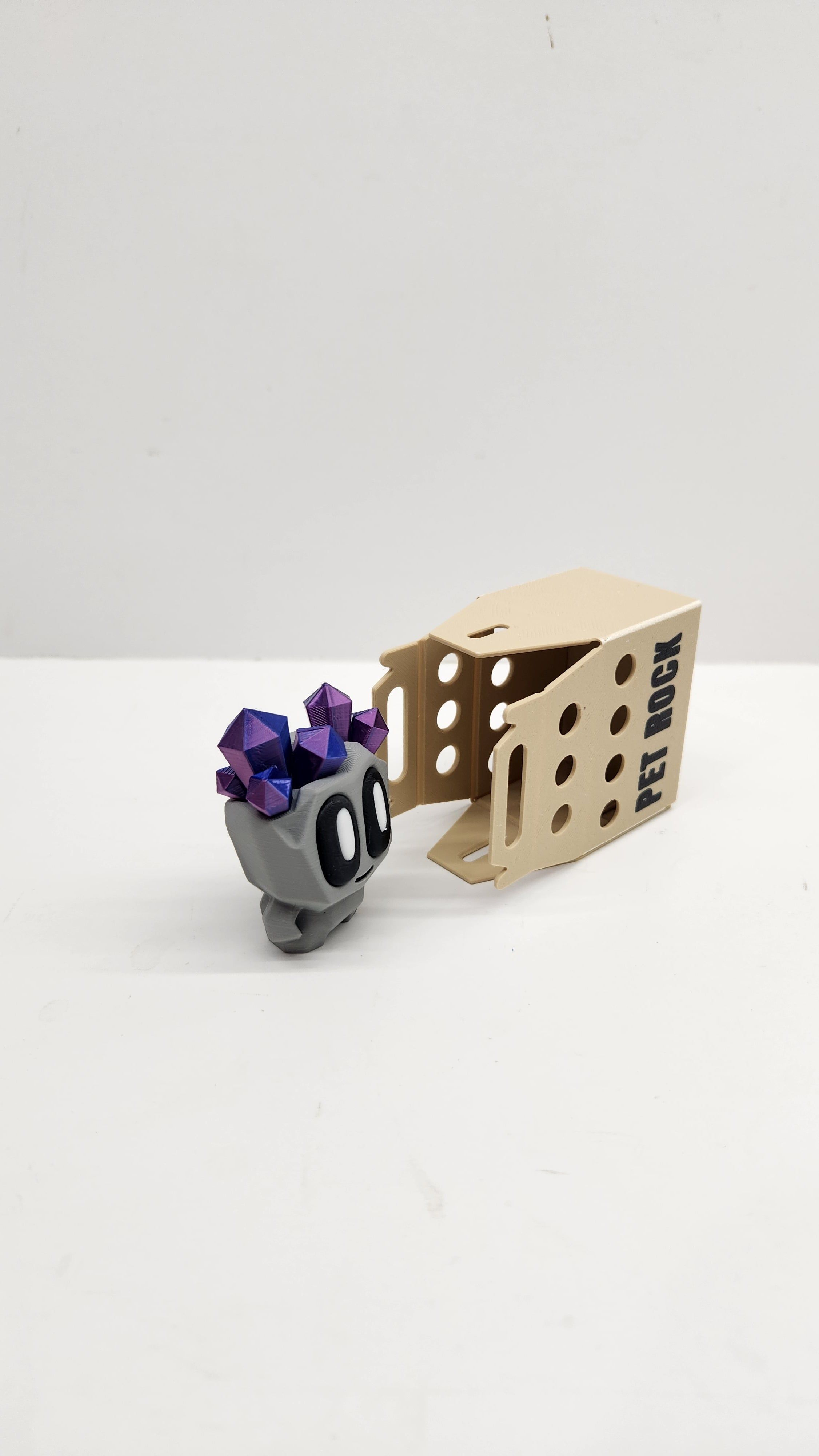 Pet Rock and Carrier