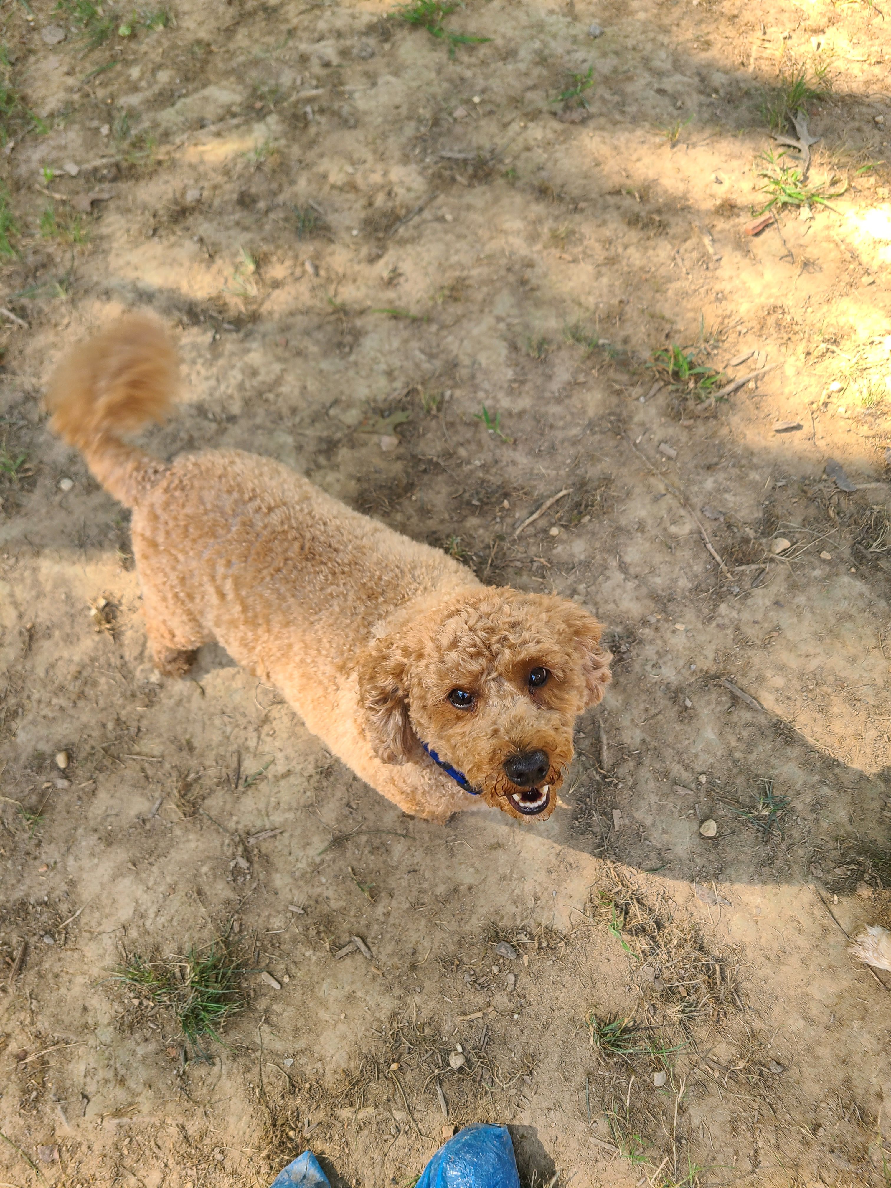 Benji smiling