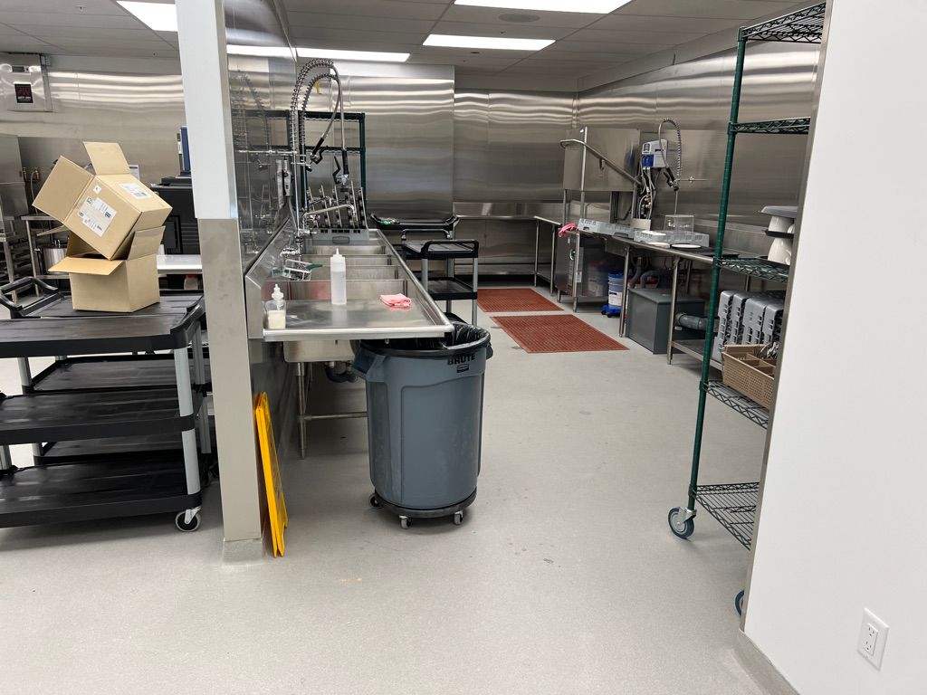 Healthcare facility dishwashing area with multiple stainless steel sinks, spray faucets and rolling carts — seamless light floor with red anti-slip mats