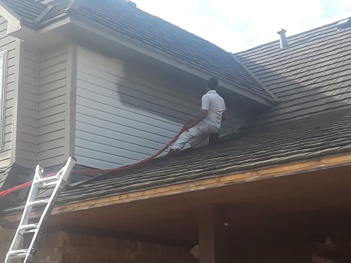 Professional painting services