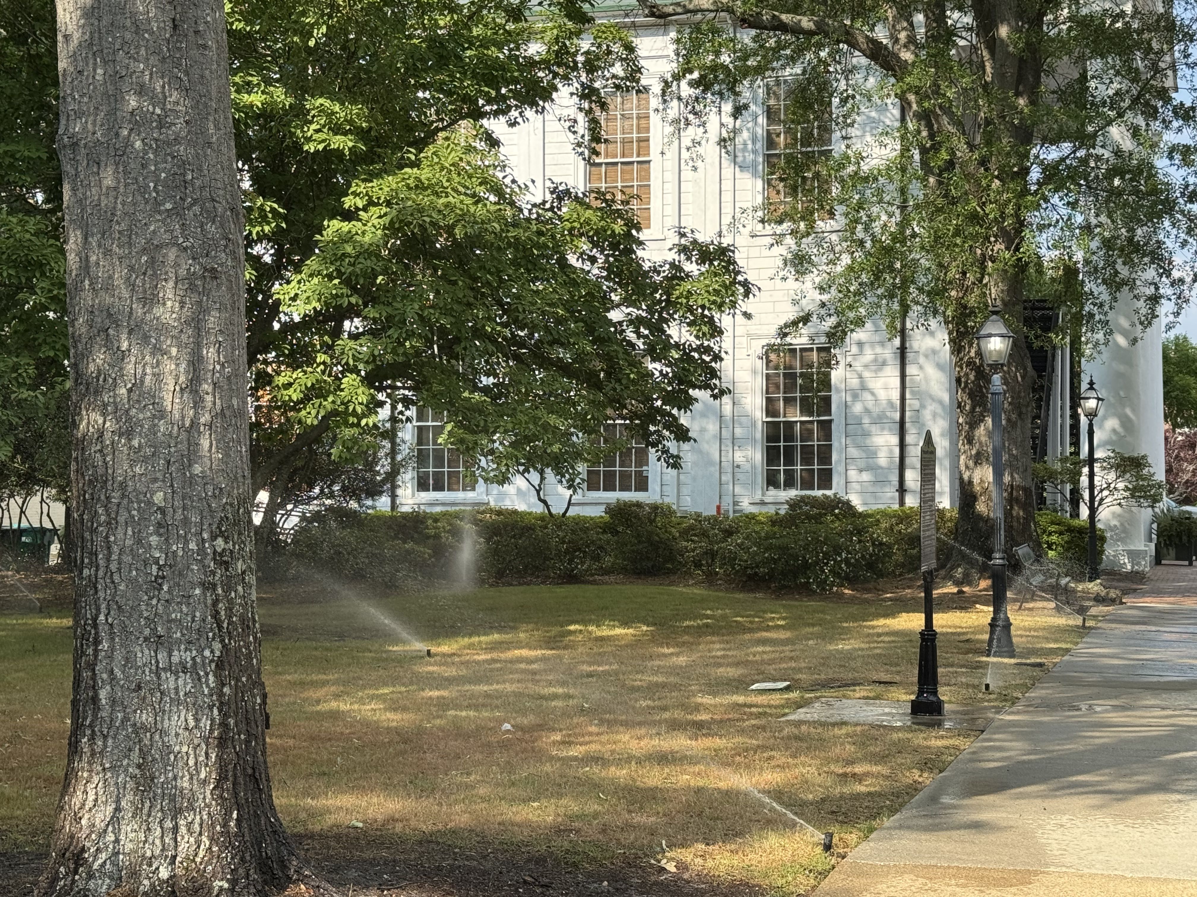 Sprinklers watering a lawn