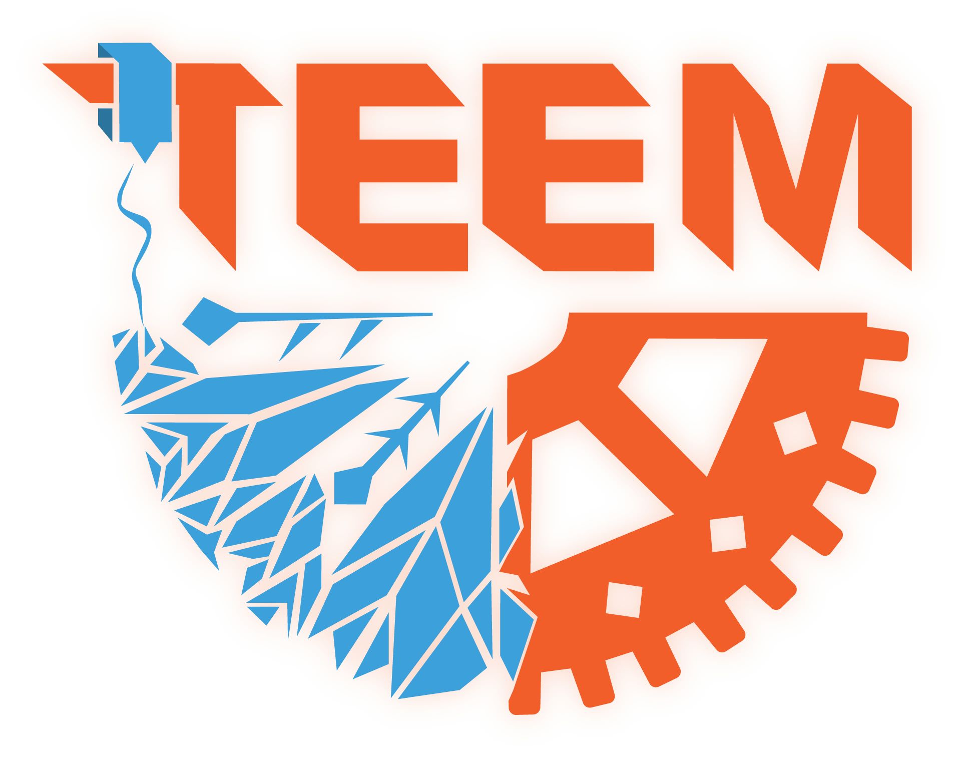 TEEM Flexiprint Logo