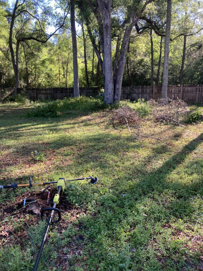 Yard cleanup and property maintenance