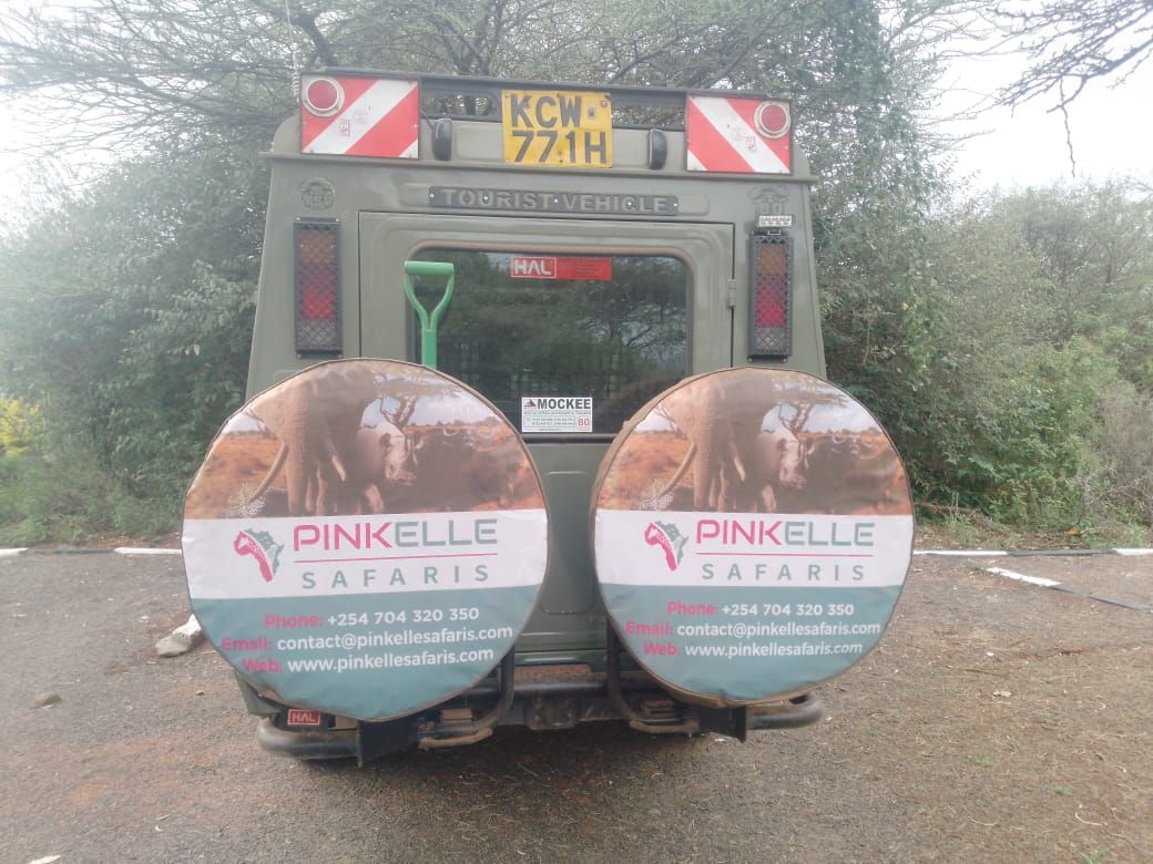 Pinkelle Safaris branded vehicle with logo and contact details on safari in Kenya