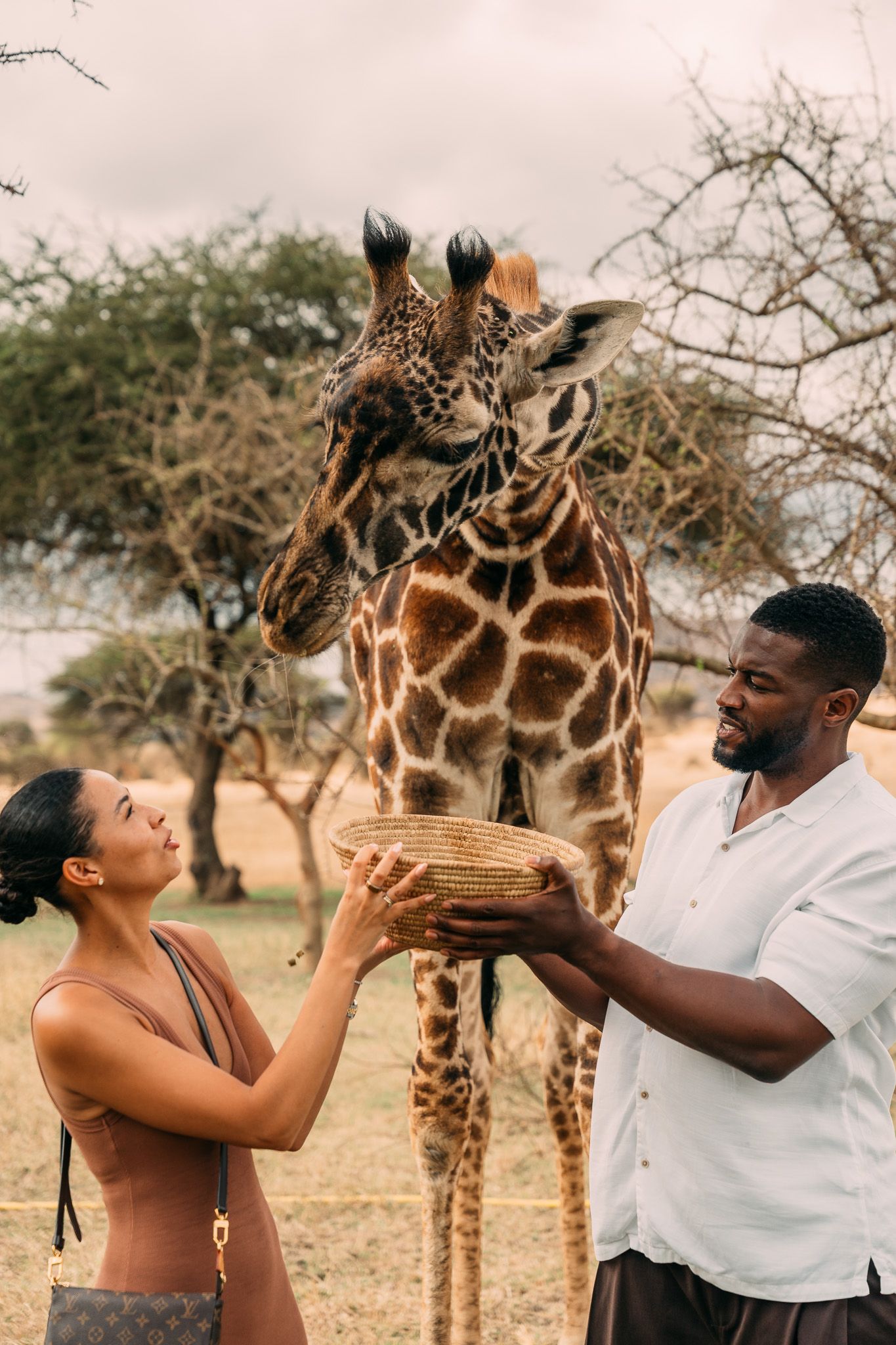 Couple feeding a giraffe together at Serval Wildlife Park — genuine joy and connection during adventure engagement session