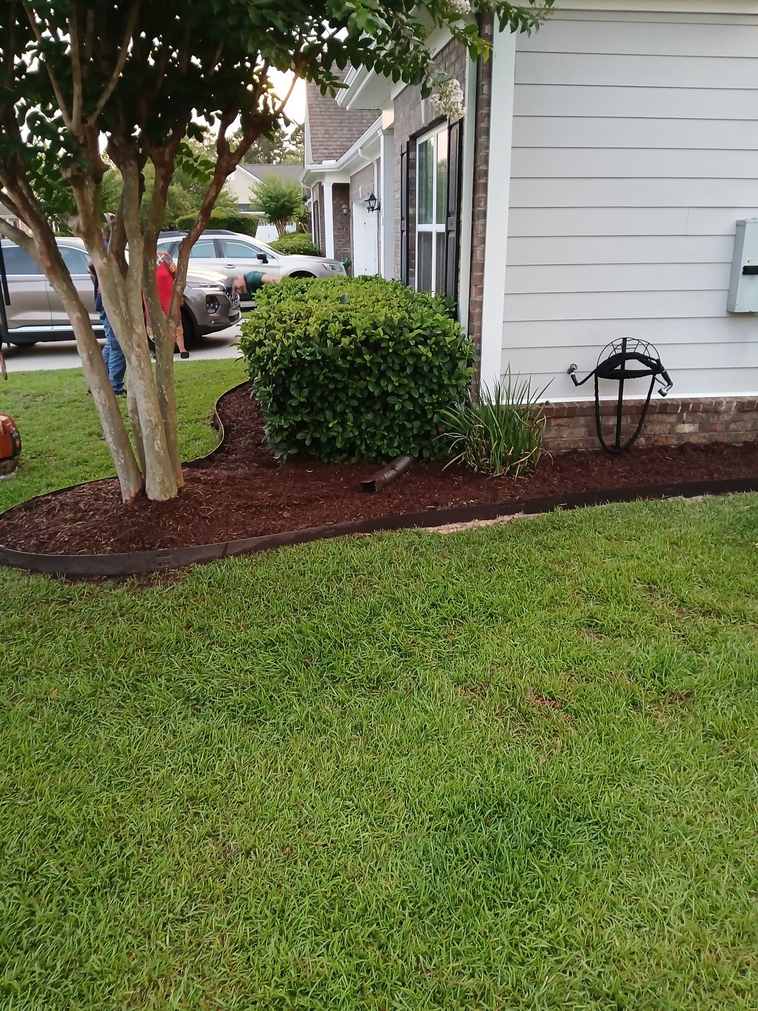 Well maintained front yard