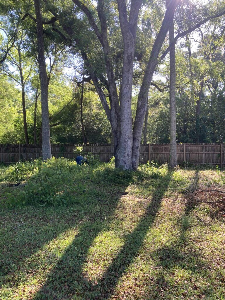 Outdoor property work