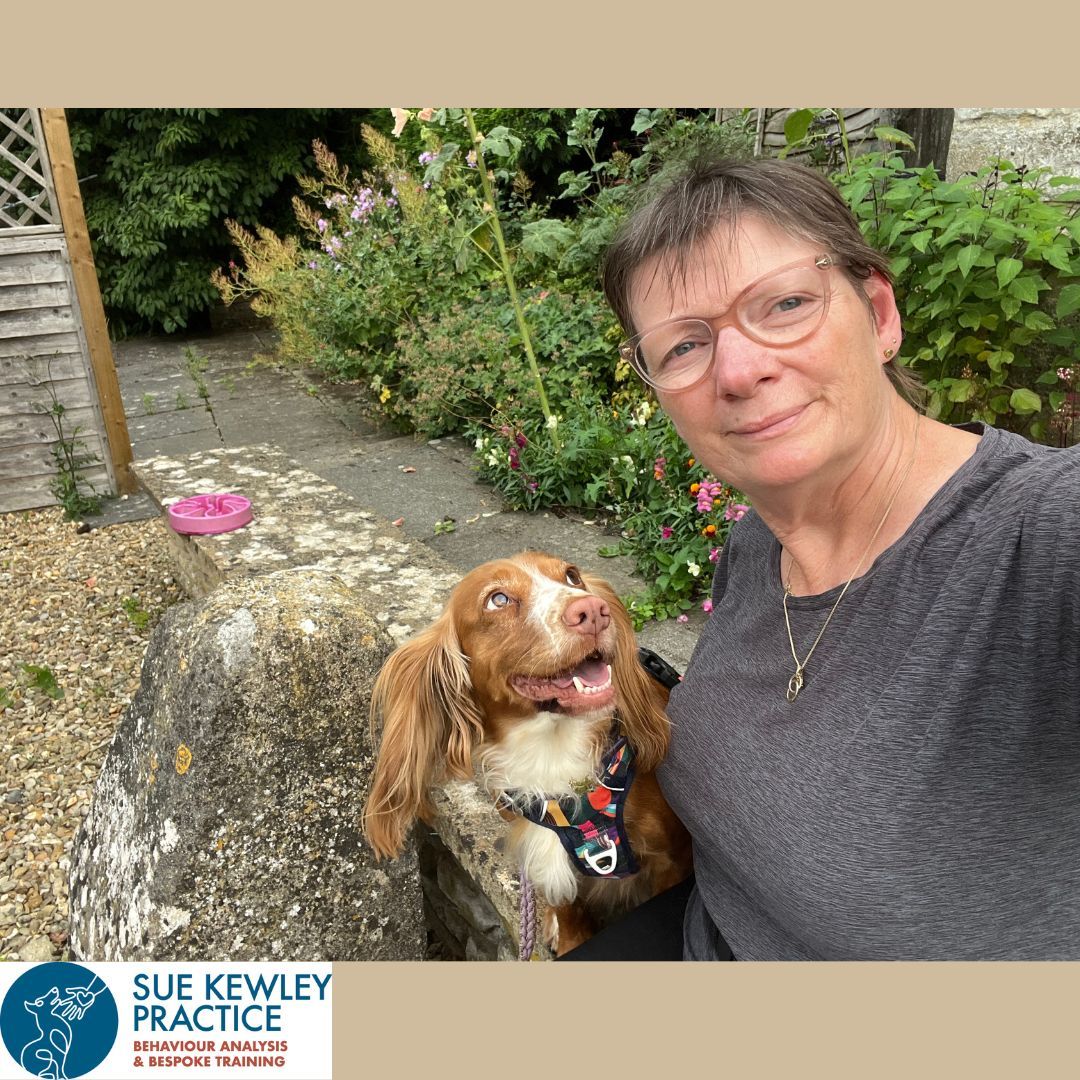 Sue Kewley with her spaniel