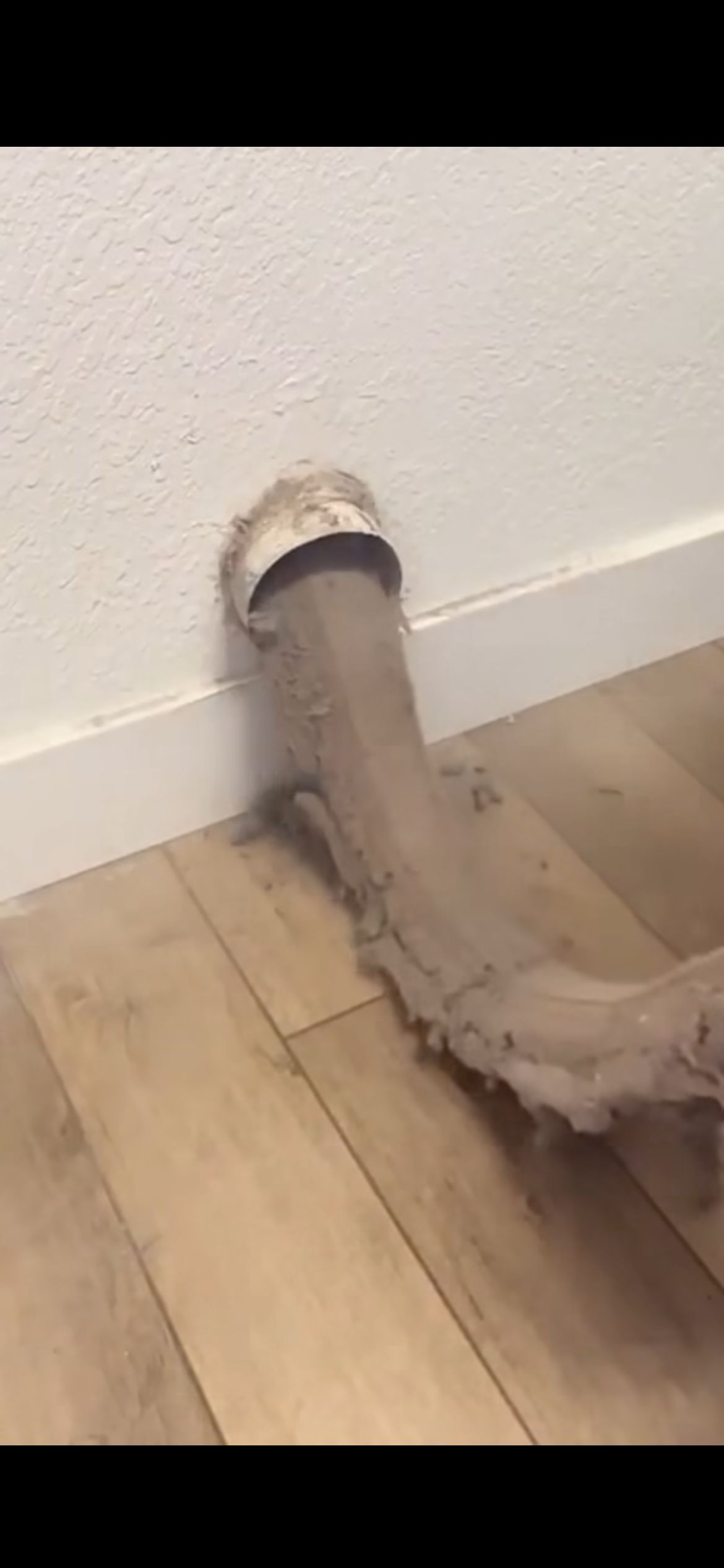 Dust and debris removed from a dryer vent