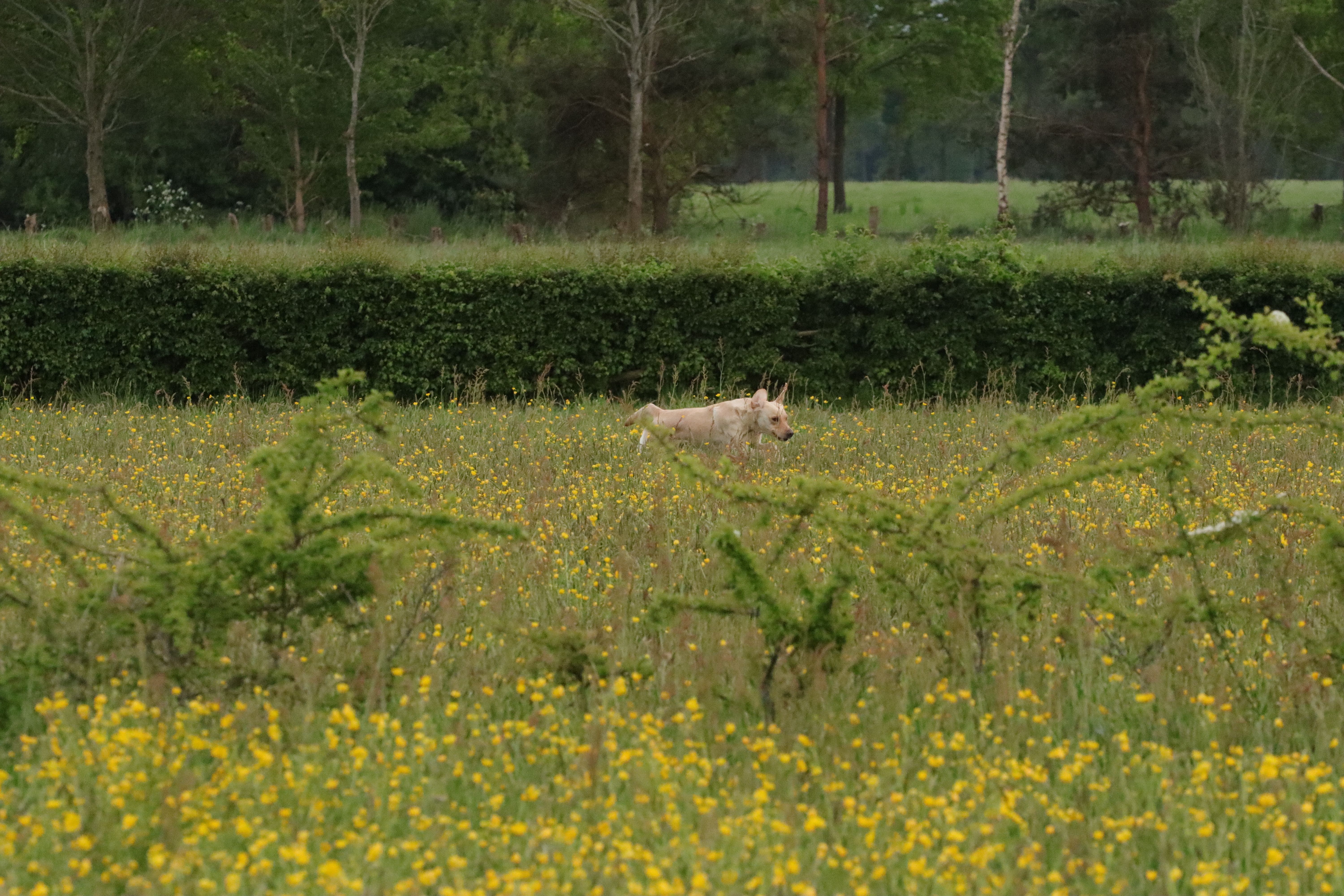 A training in Vorden foto 4