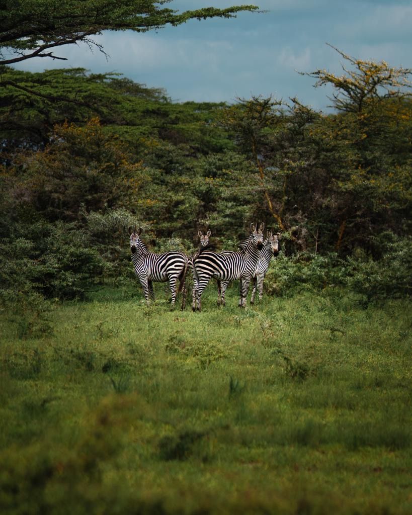 Tanzania Full Circle