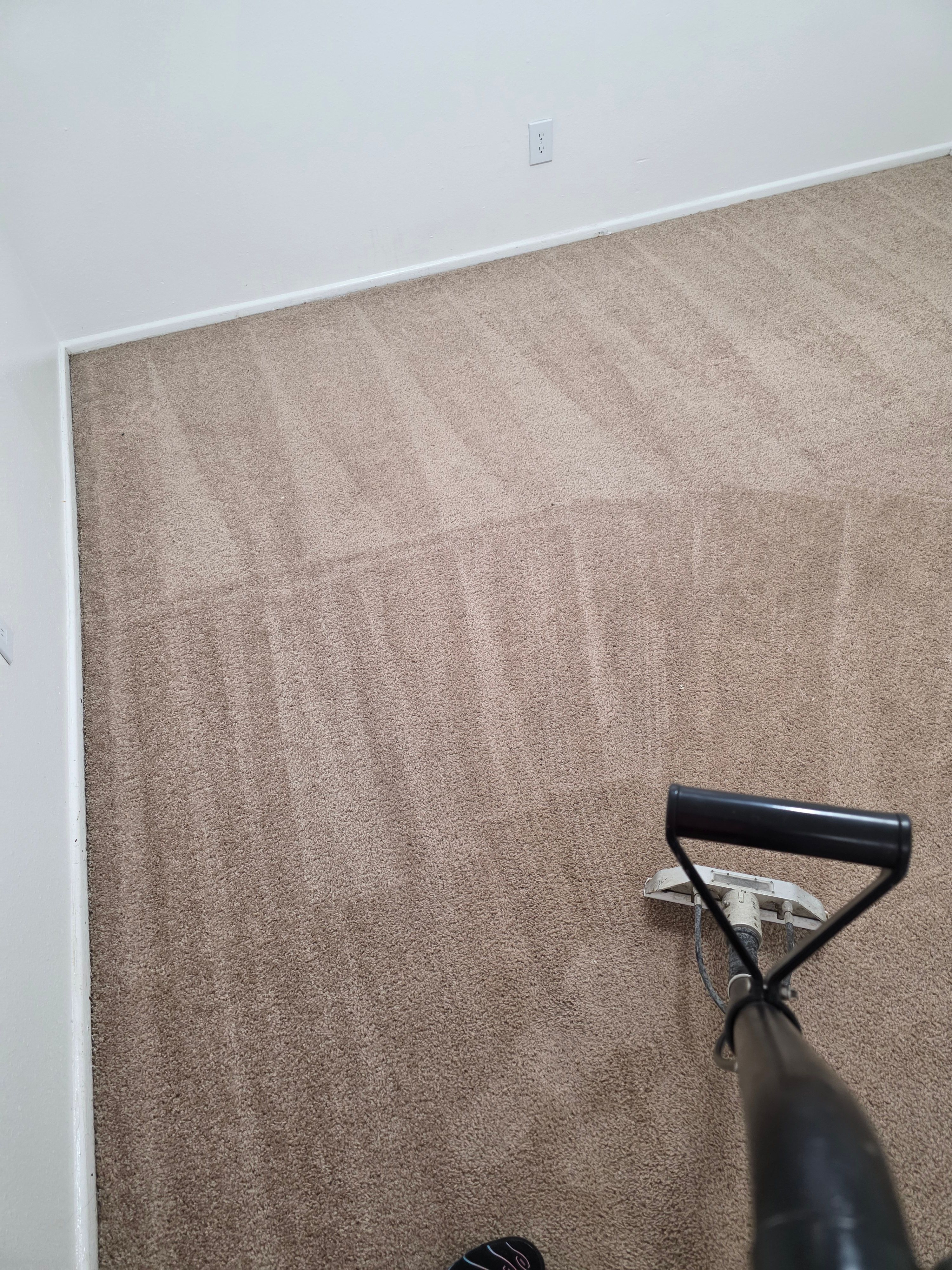 Carpet cleaning results