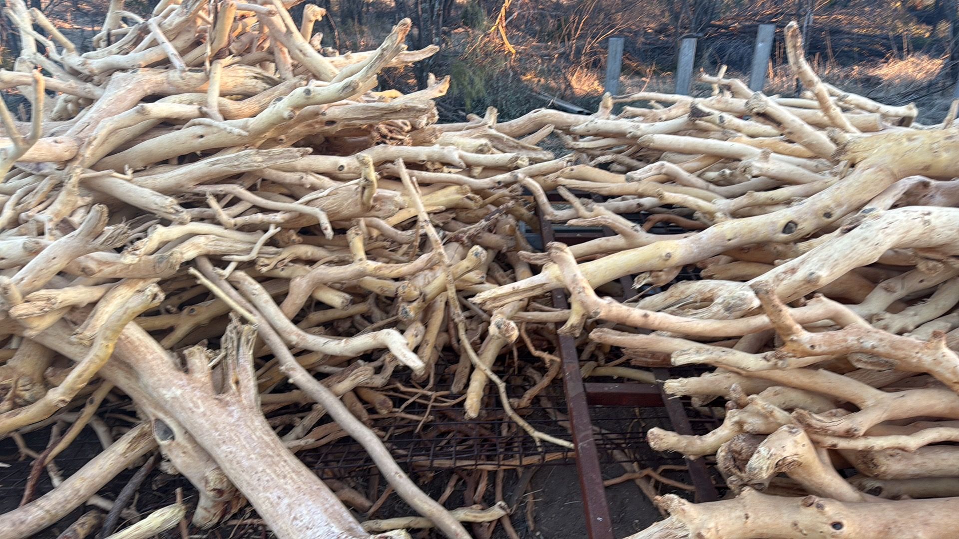 Graded sandalwood