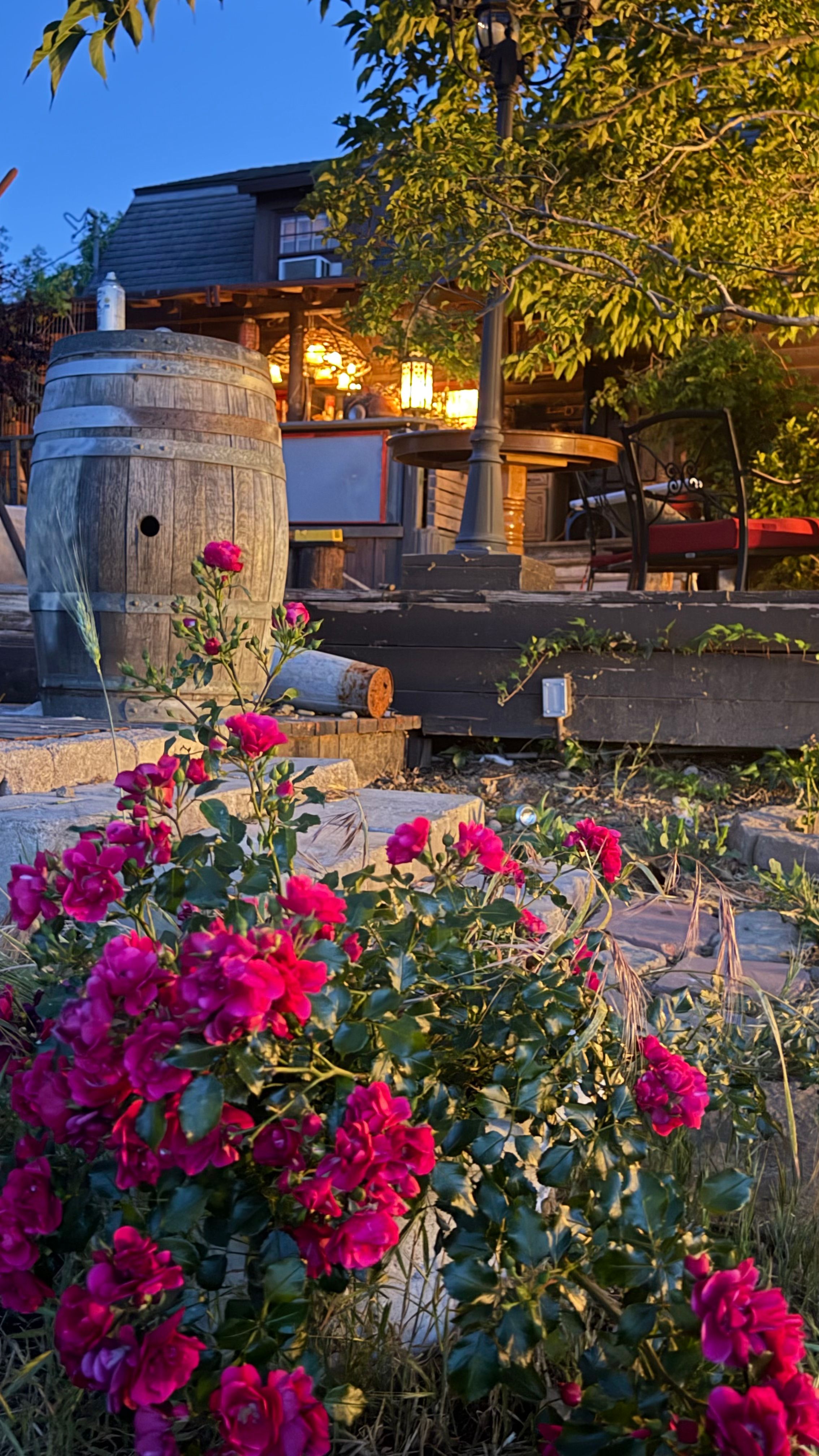 Ranch Leona — garden at dusk with warm lighting