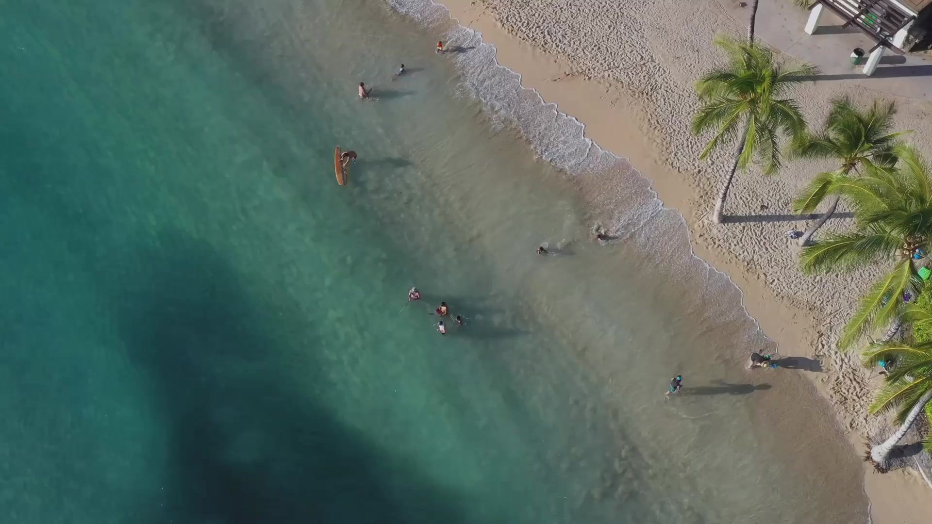 The Caribbean