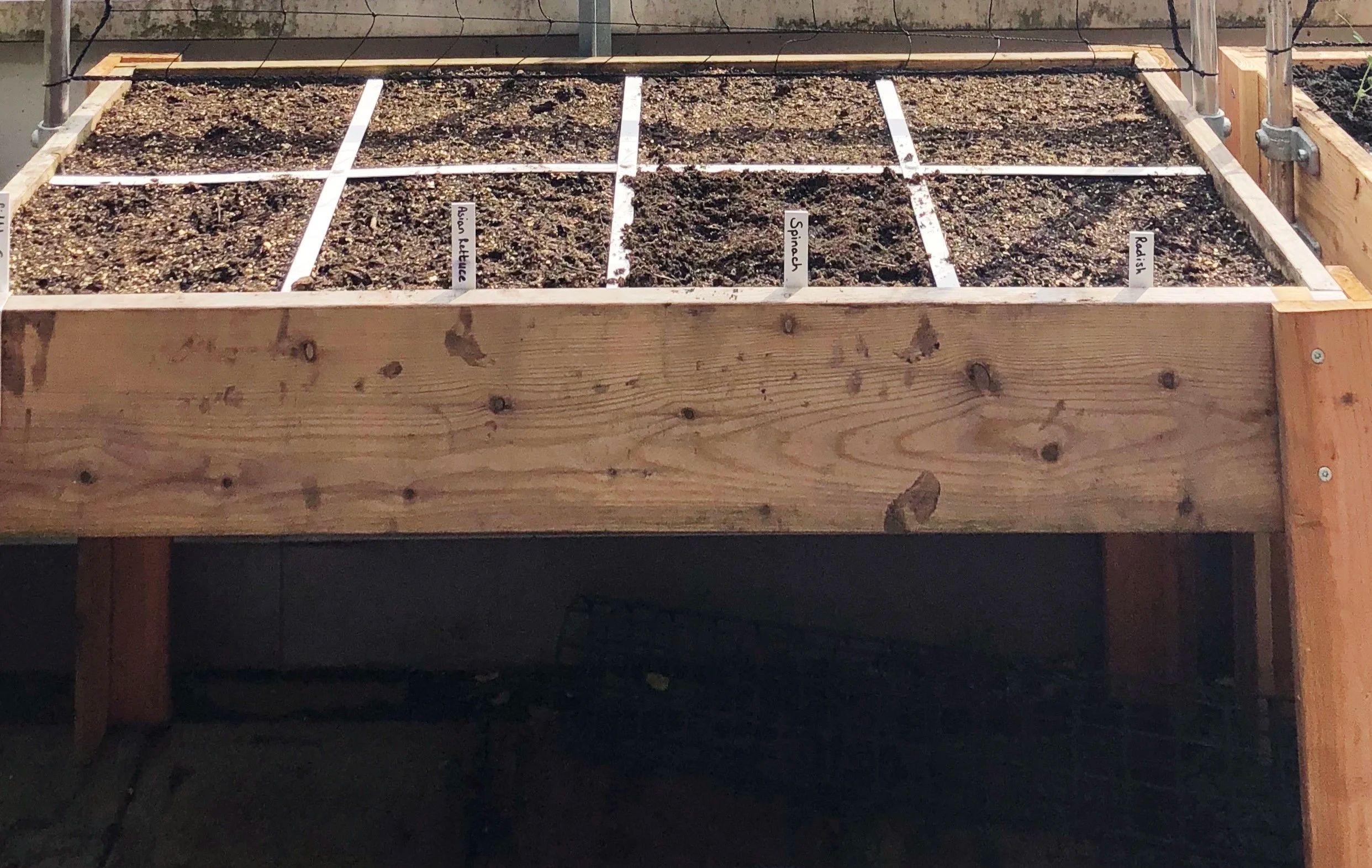 Raised bed garden with labeled sections
