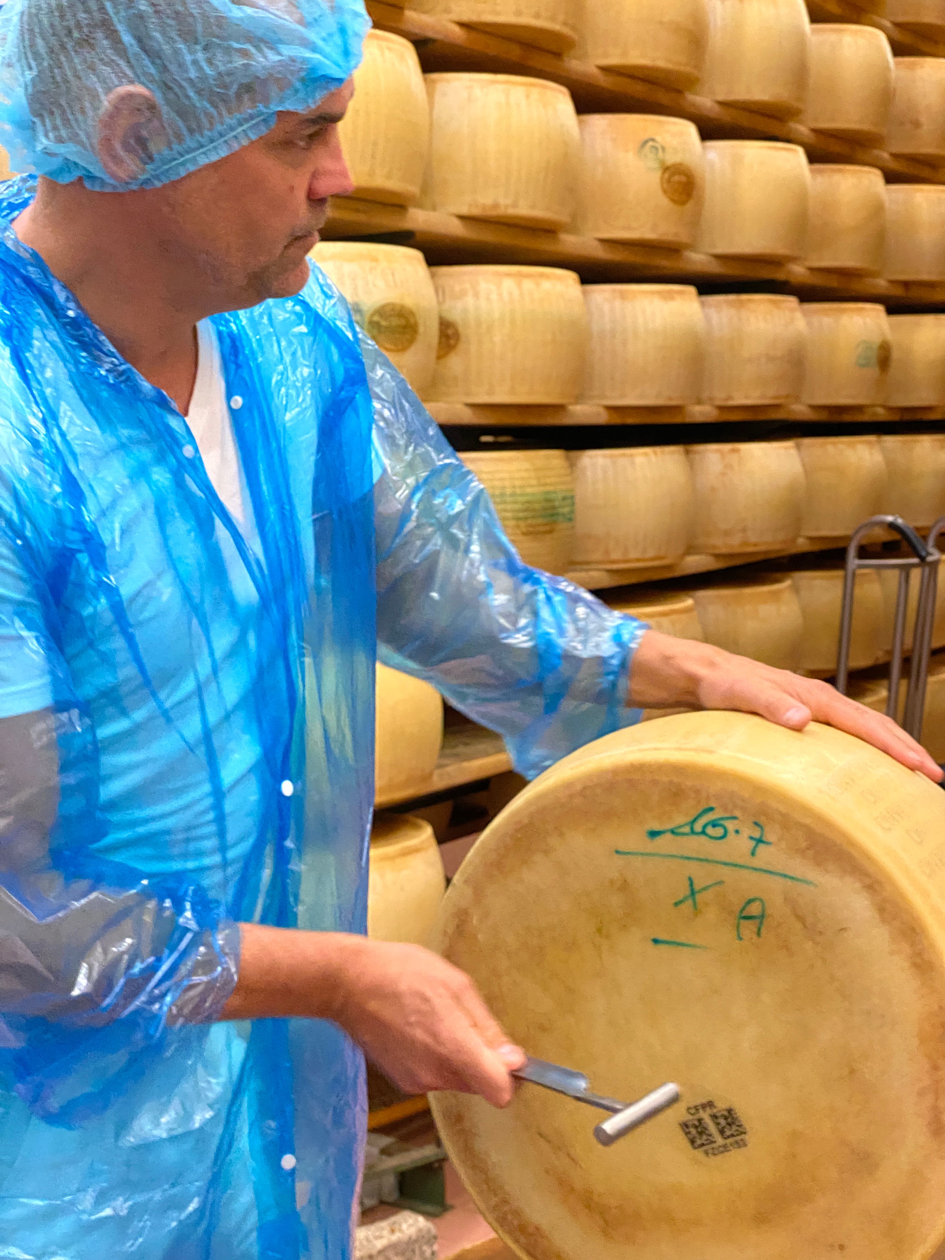 Behind the scenes at a cheese producer