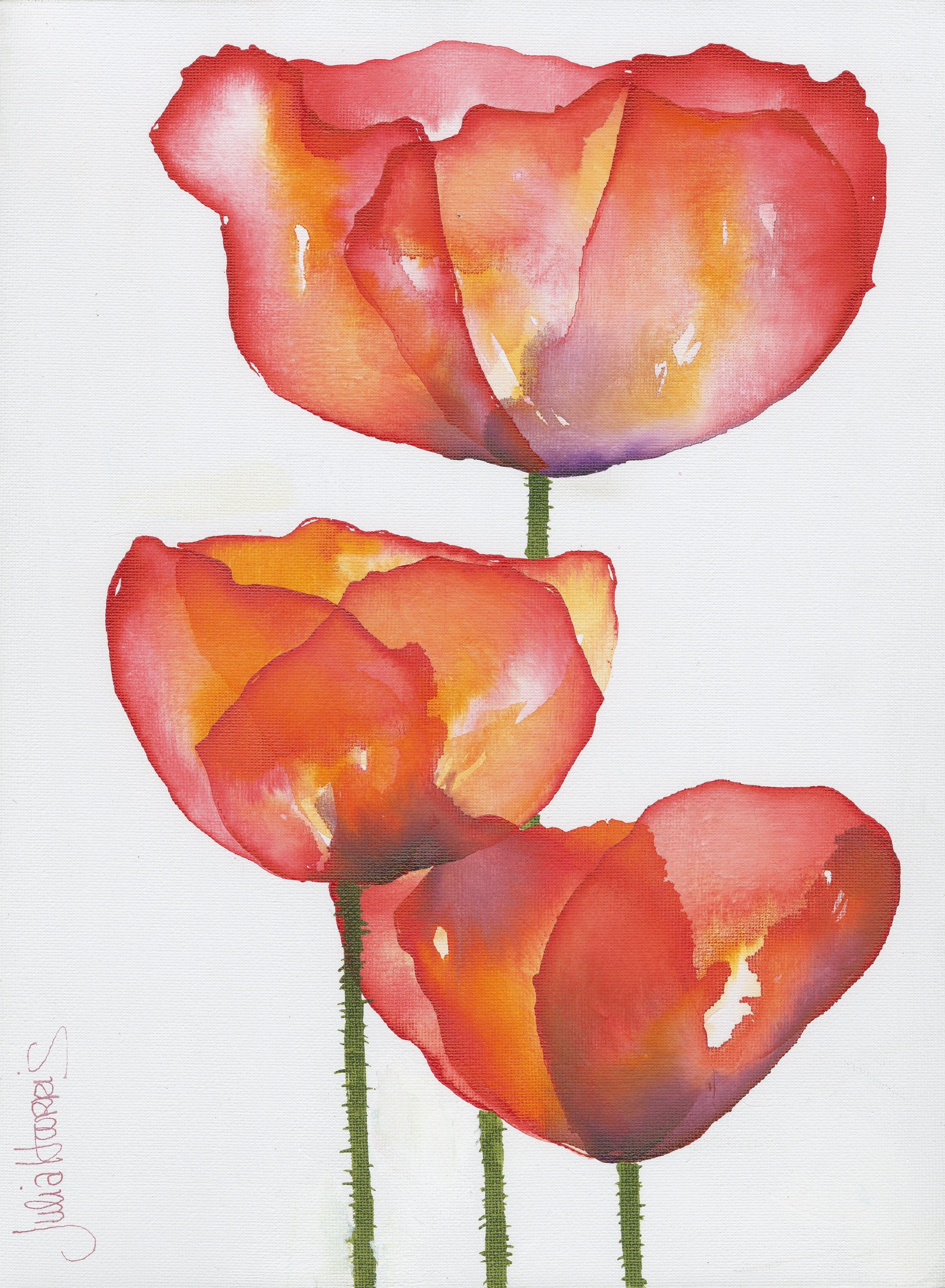 Three poppies in red, orange and yellow — watercolour by Julia Harris