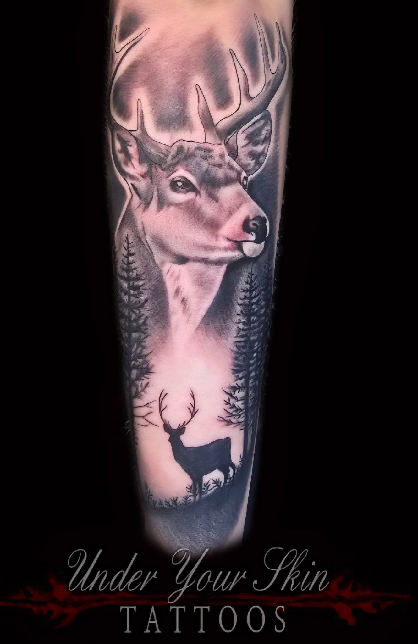 Deer & Forest