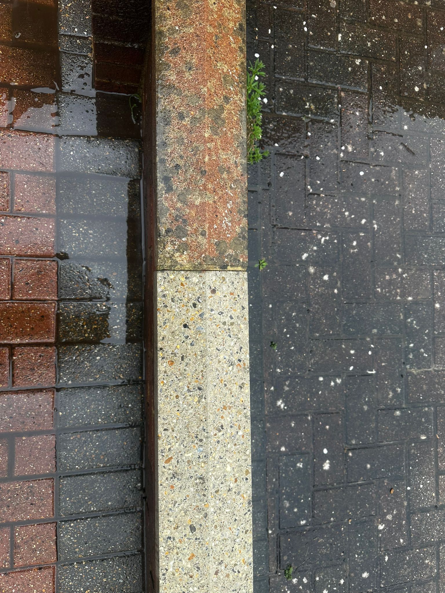 Close-up of cleaned pavement edge and curb