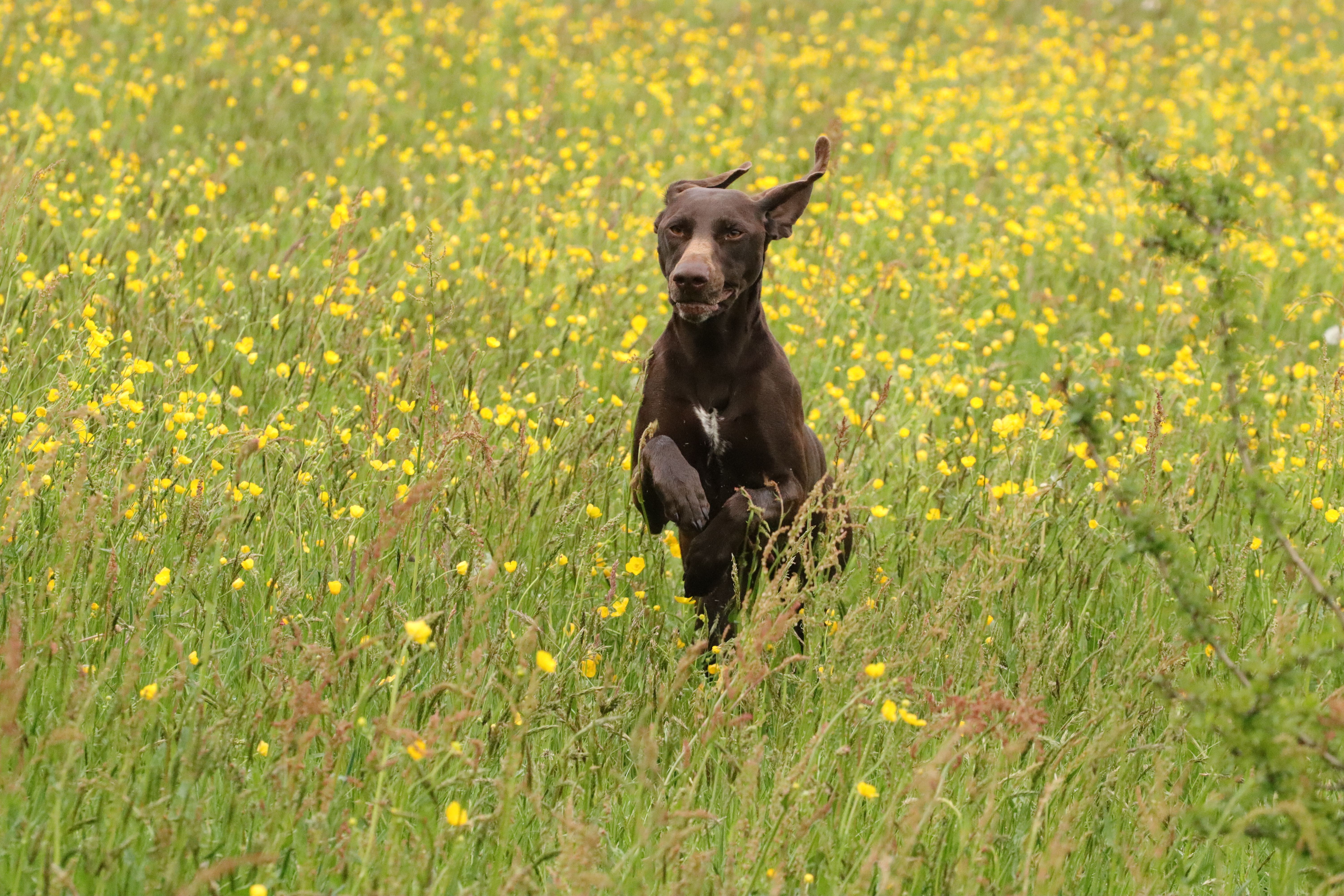 A training in Vorden foto 3