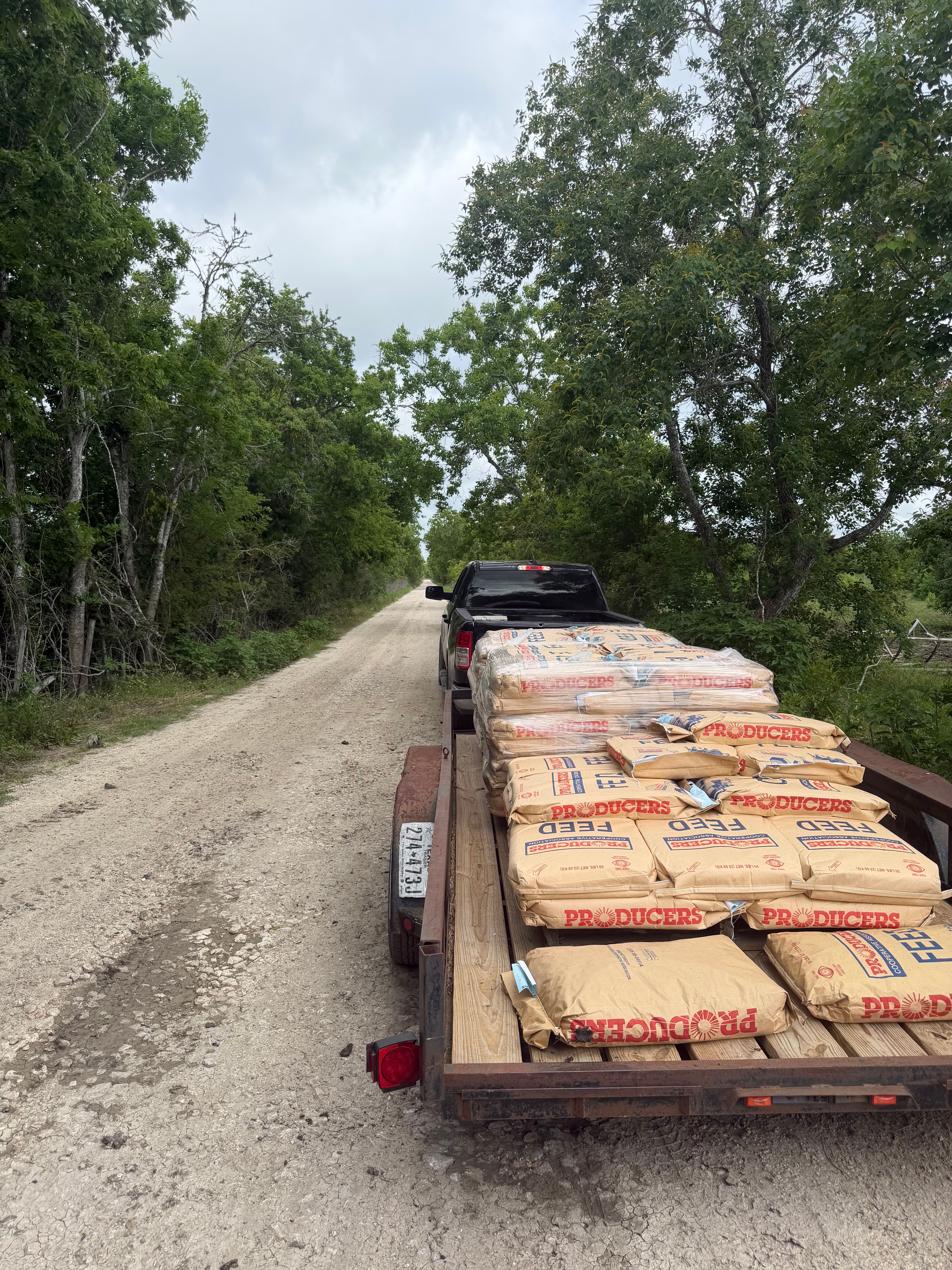 Hauling feed to the ranch