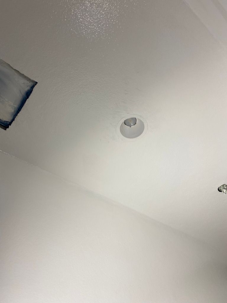 Seamless white epoxy ceiling with recessed lighting in a manufacturing clean environment