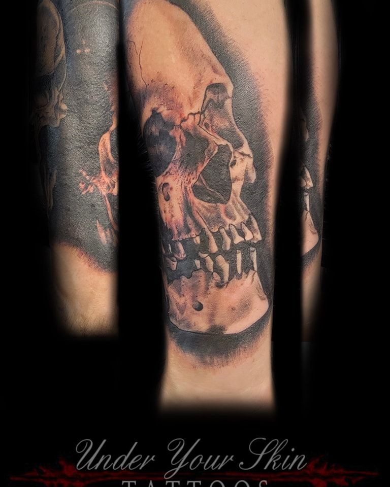 Skull Profile