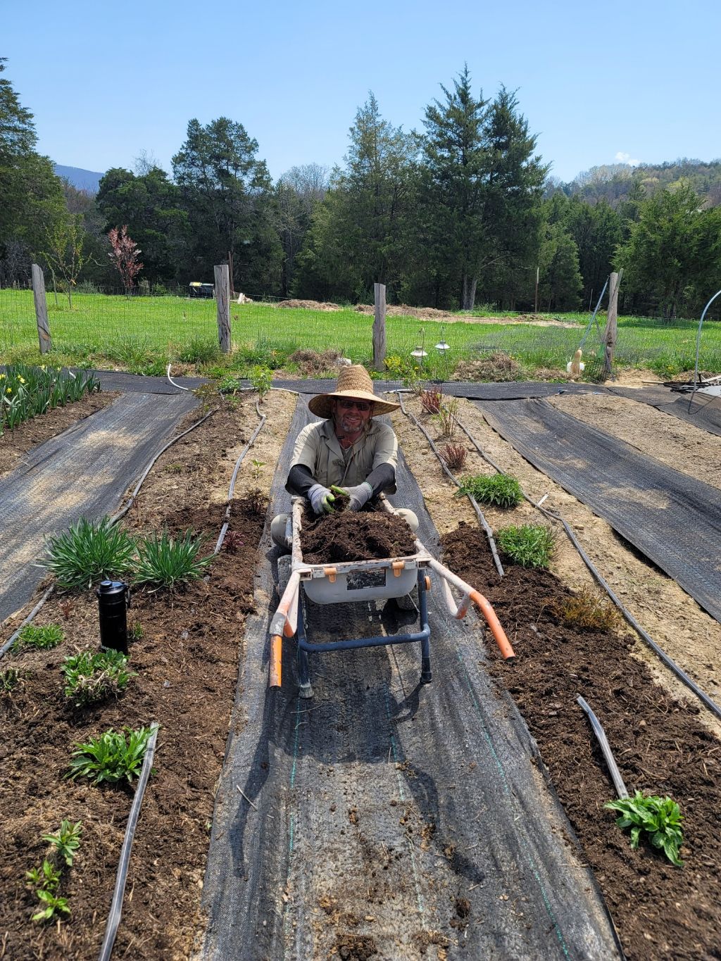 Hands-on flower farming — planting in the field at Falling Run