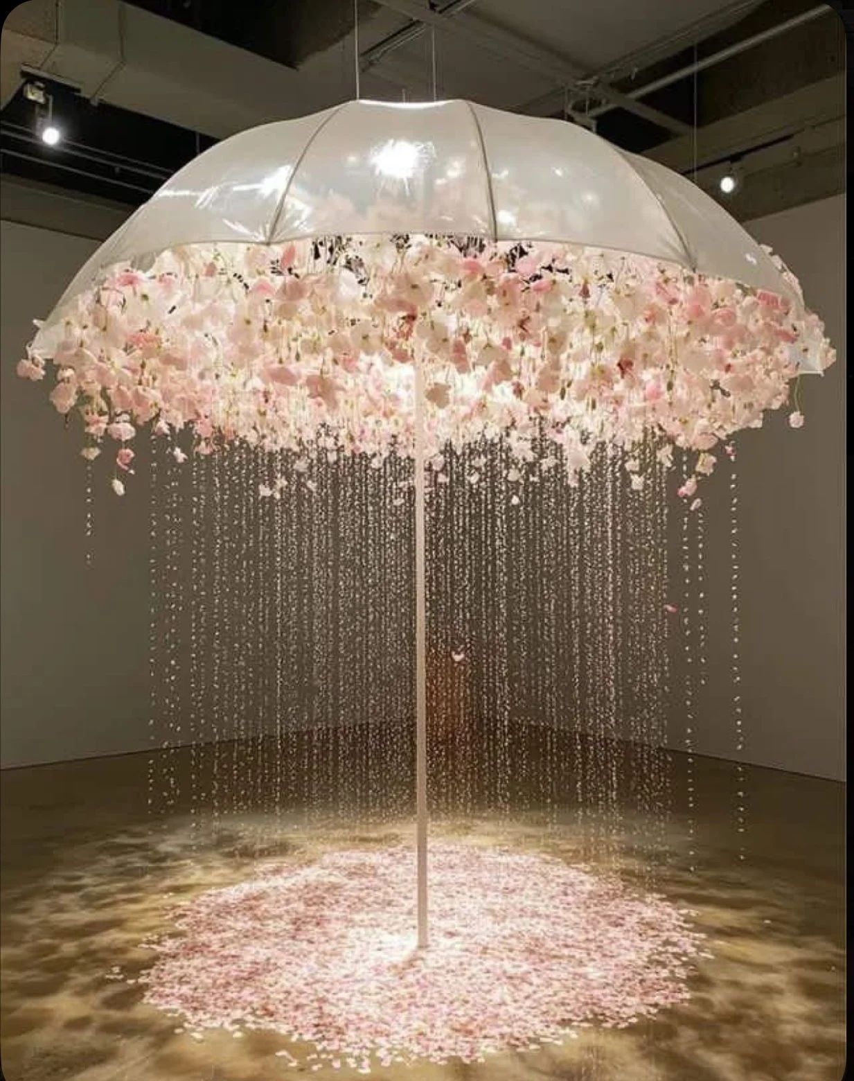 Floral installation at The Salon on Middle