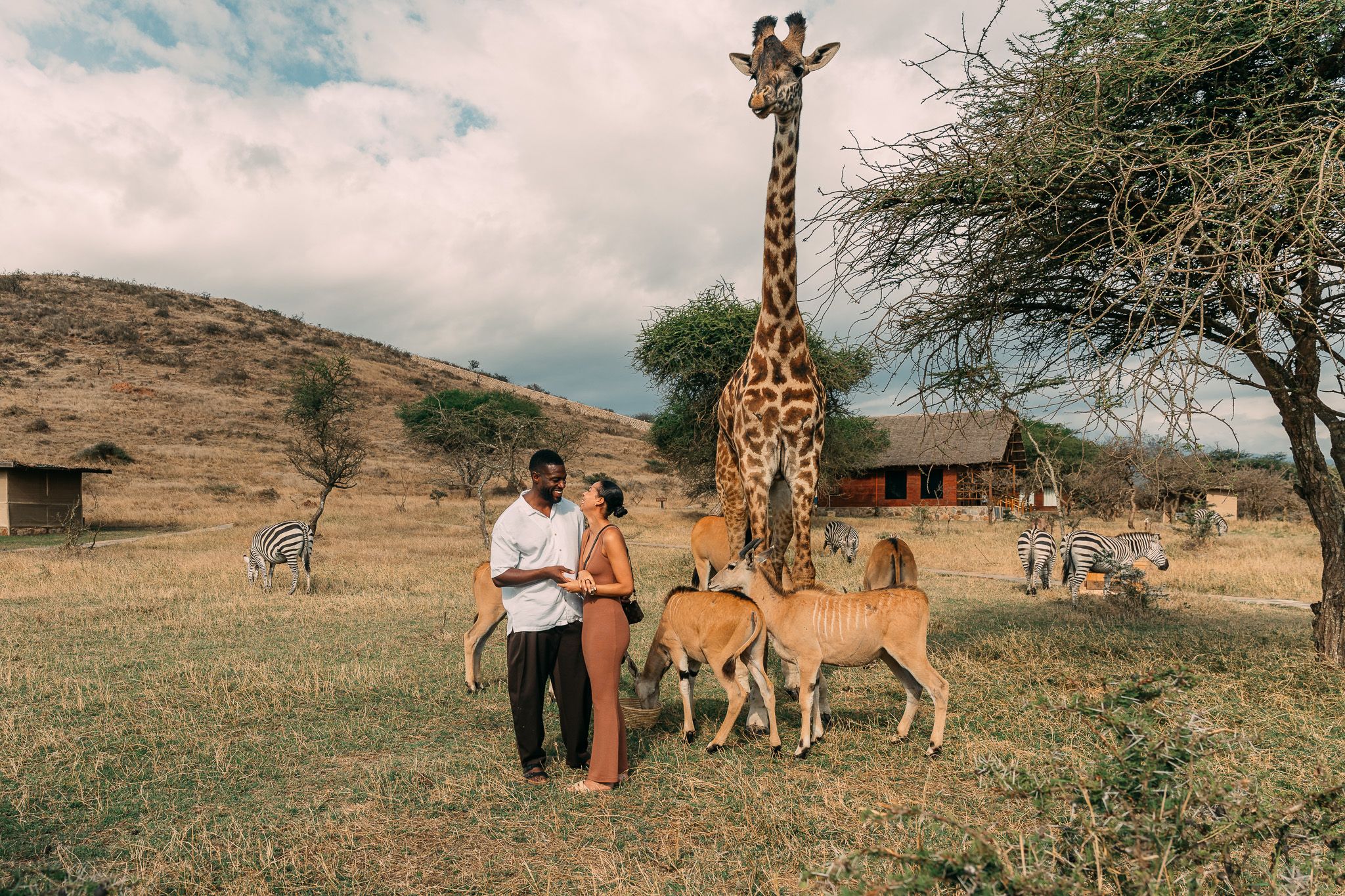 Couple with giraffes, zebras and antelopes at Serval Wildlife Park — adventure engagement photography